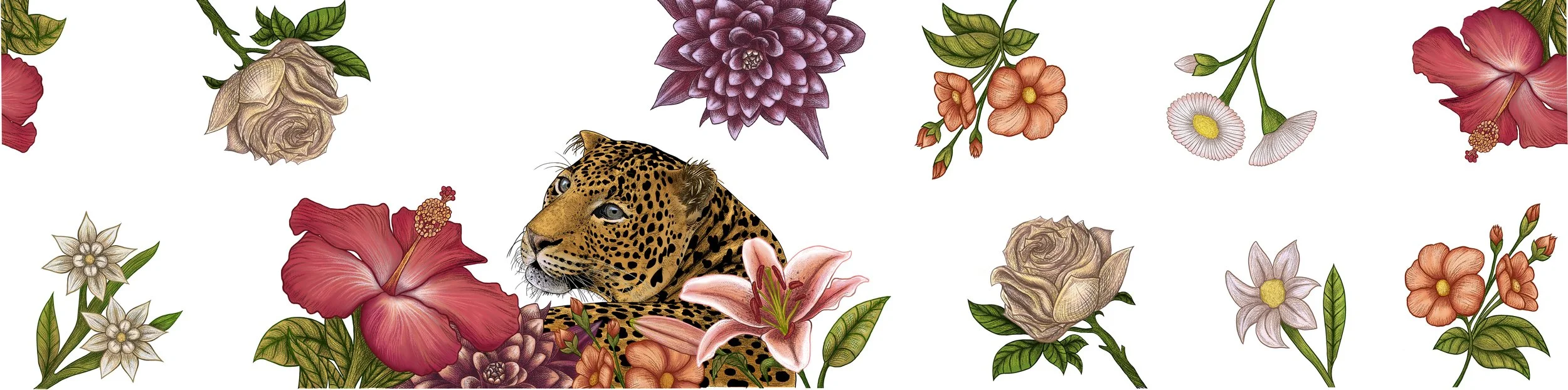 JaguarLabelPanoano.jpg