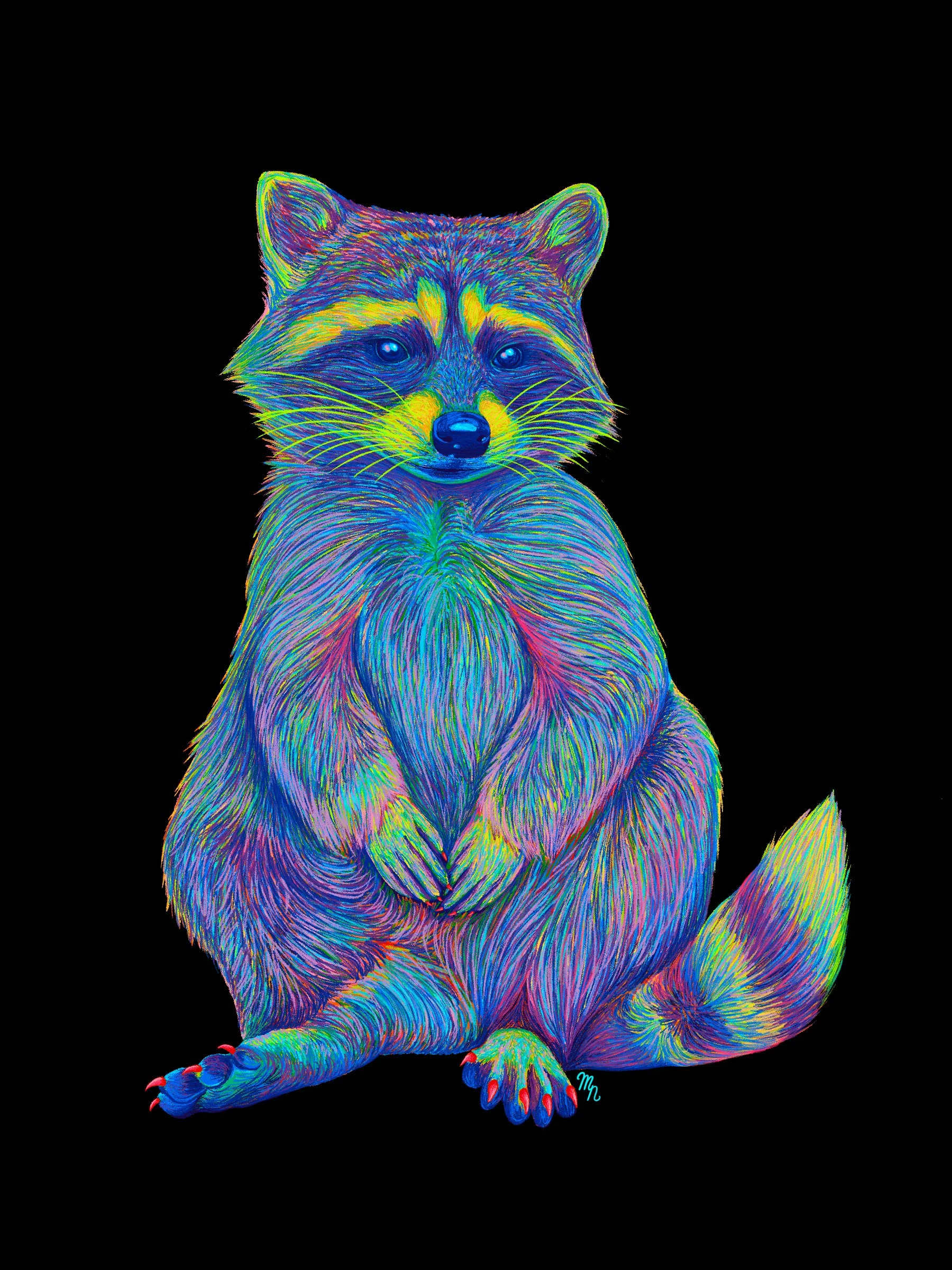 RainbowRaccoon_BlackBG.jpg