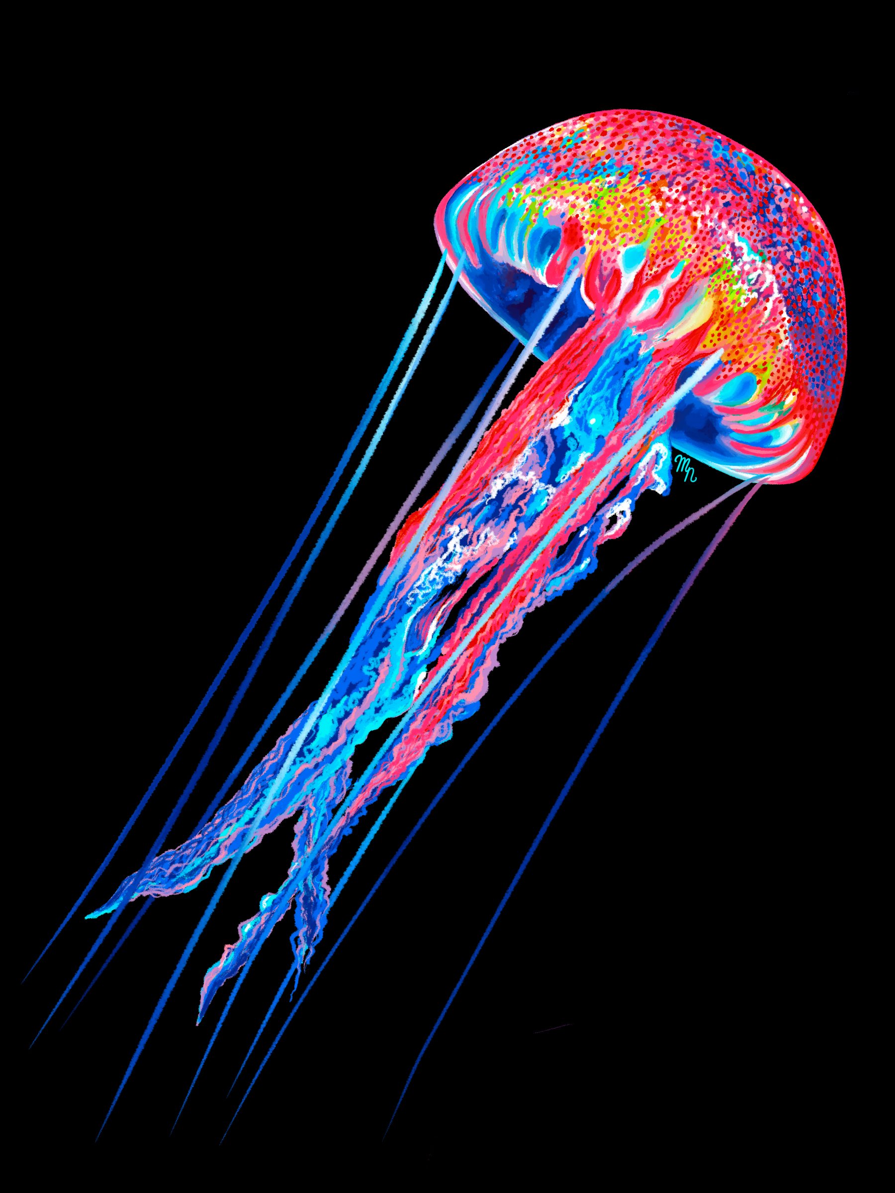 RainbowJellyfish_BlackBG.jpg