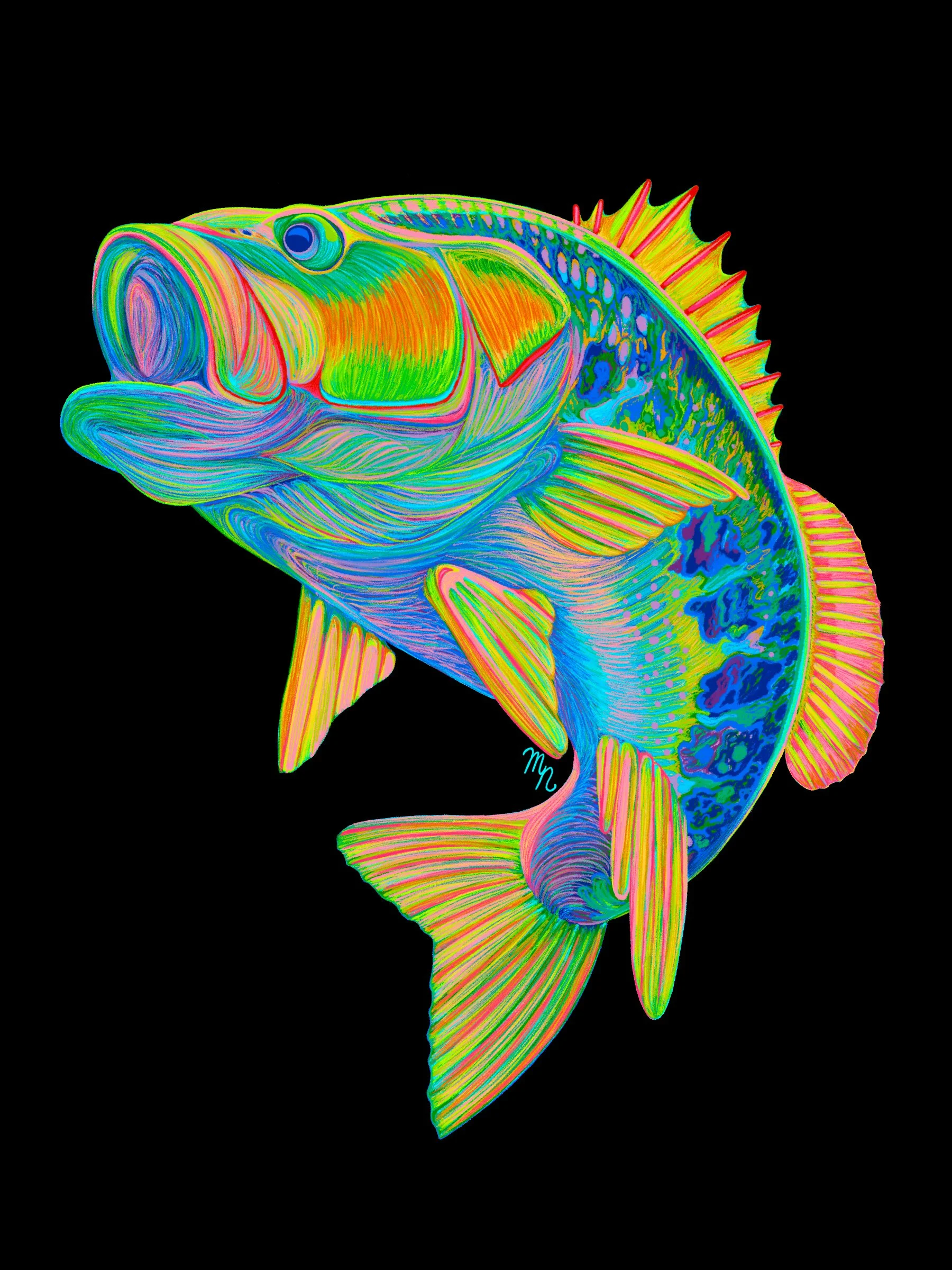 RainbowBass_BlackBG.jpg