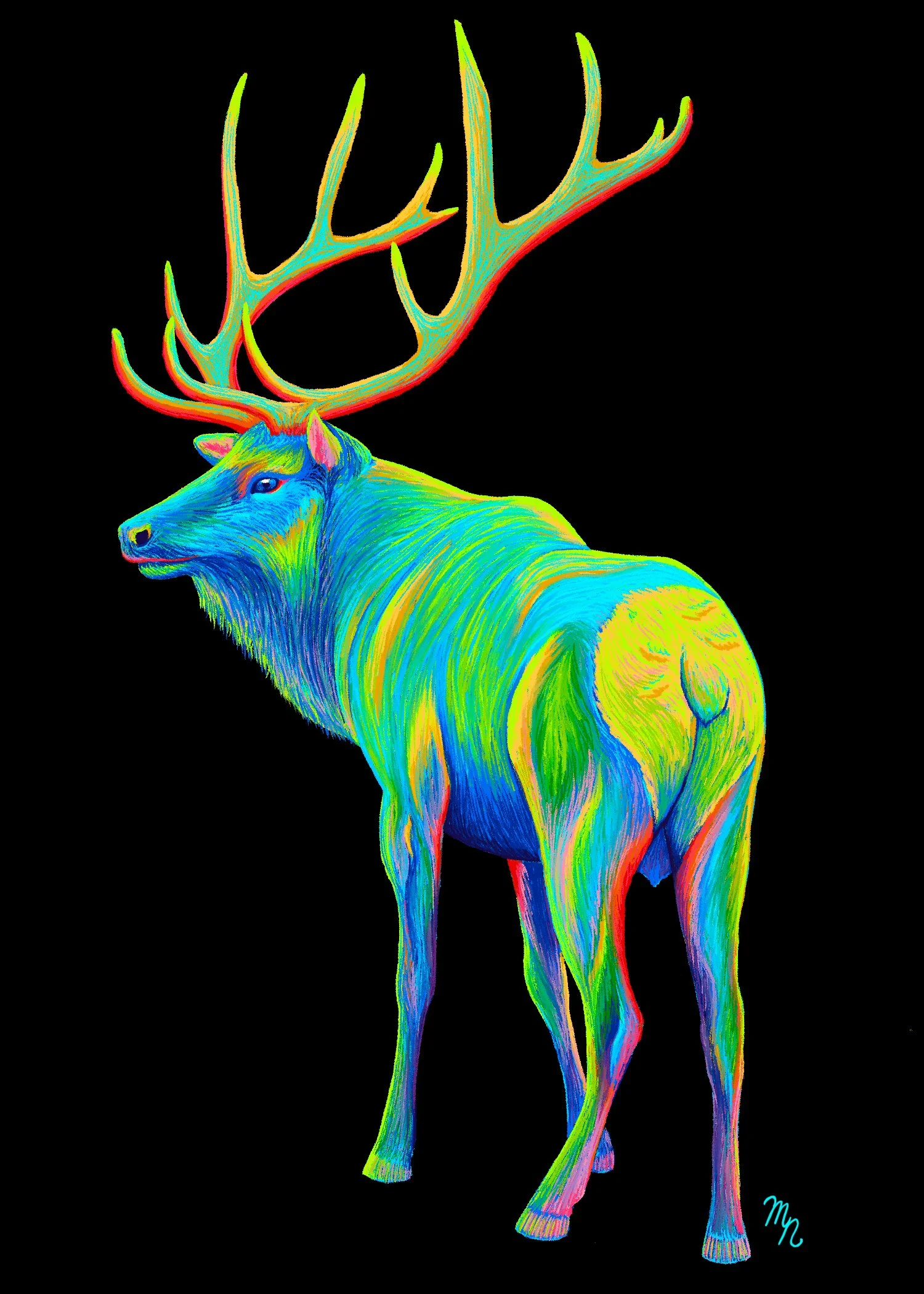 Rainbow_Elk_BlackBG.jpg