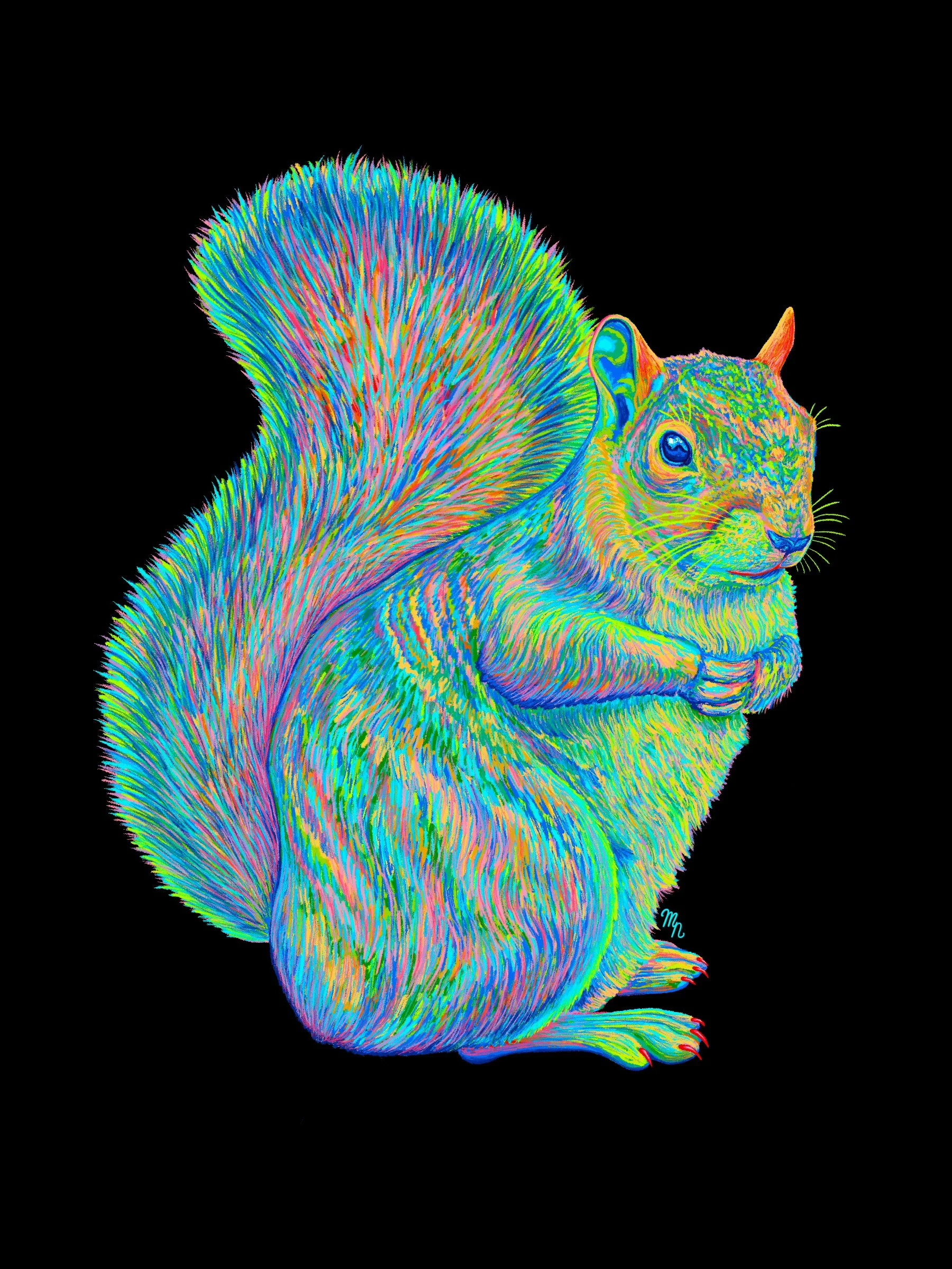 RainbowSquirrel_BlackBG.jpg