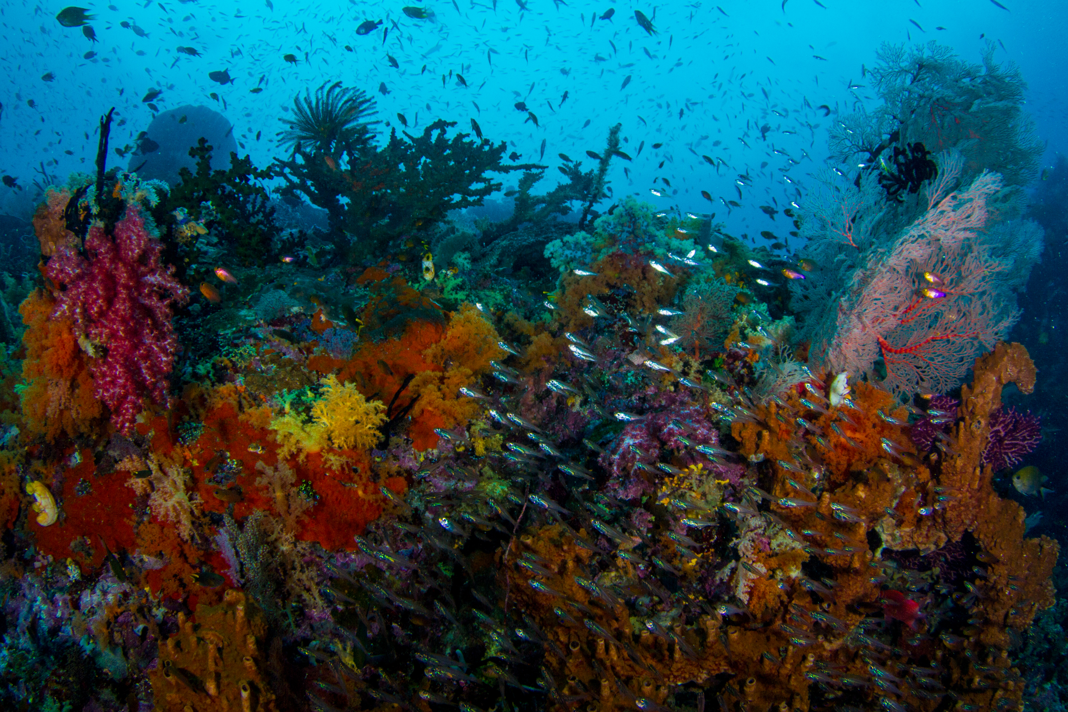 Point Defiance Zoo and Aquarium