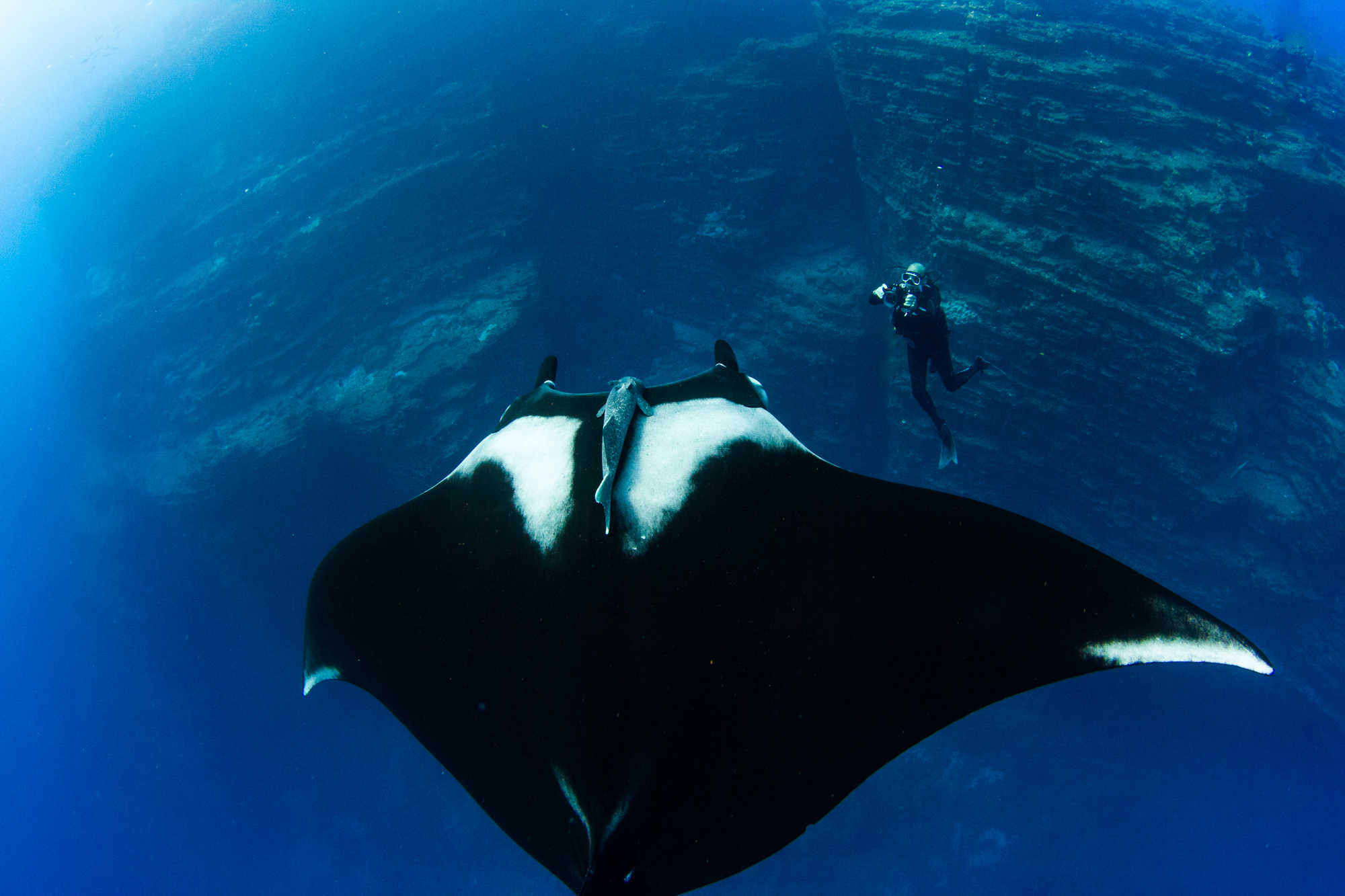 Shoot Like A Pro Underwater Photo &amp; Video Workshop