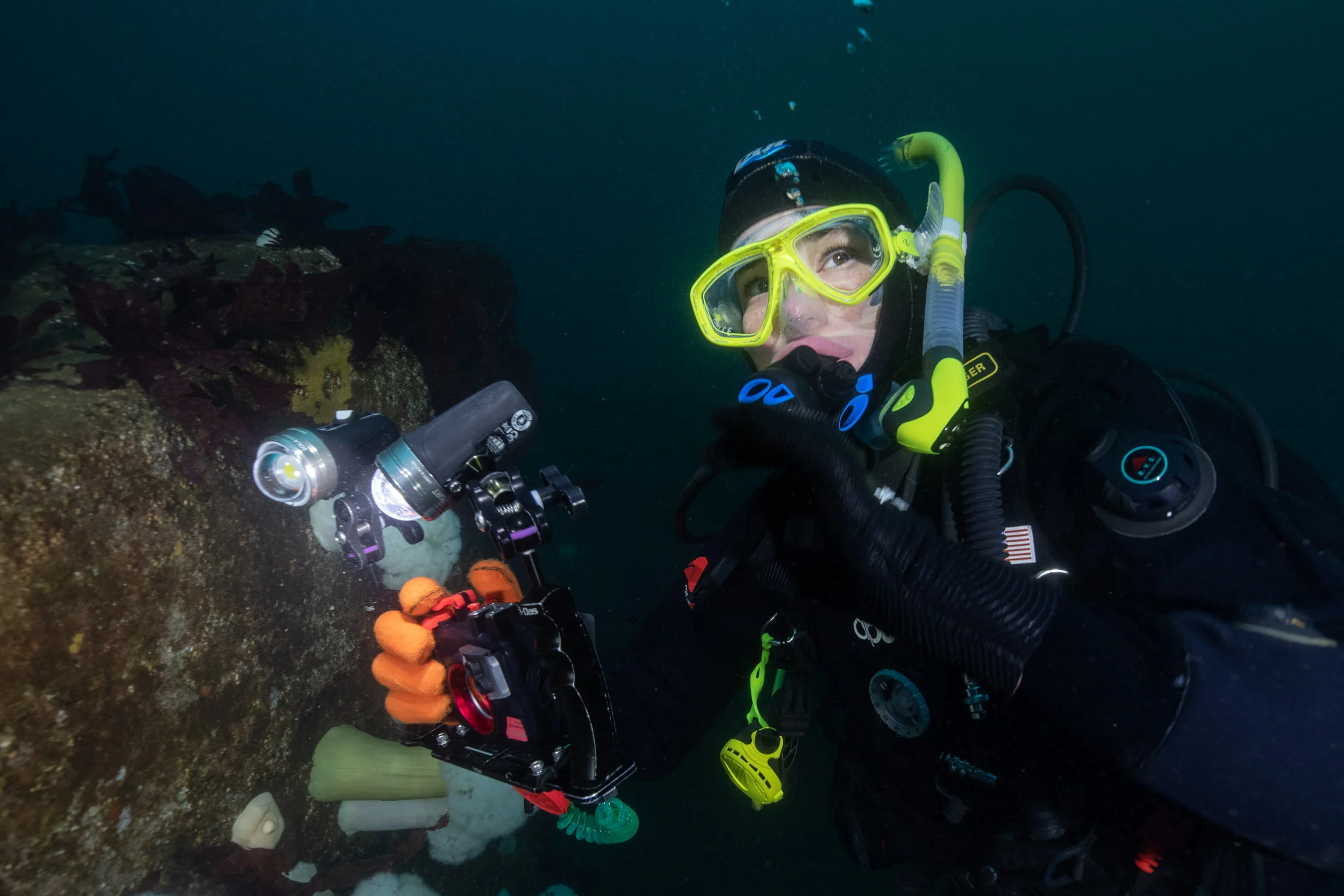 Join Our Team—Annie Crawley's Scuba Diving Team — Edmonds Underwater Park