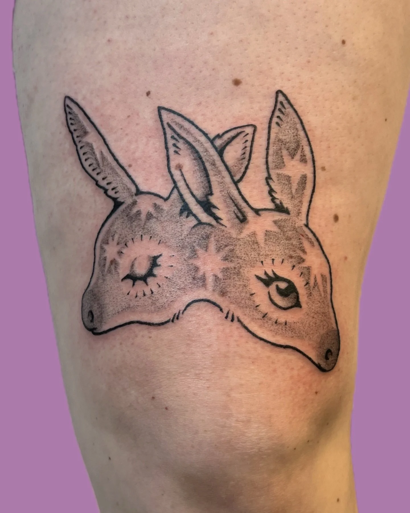 magic two-headed fawn tattoo for issy ✨⭐️💫🌟 we also started a large scale back tattoo that i'm so excited to finish 😍 thank you for trusting me again :') 
#minneapolistattoo #illustrativetattoo #whimsicaltattoo