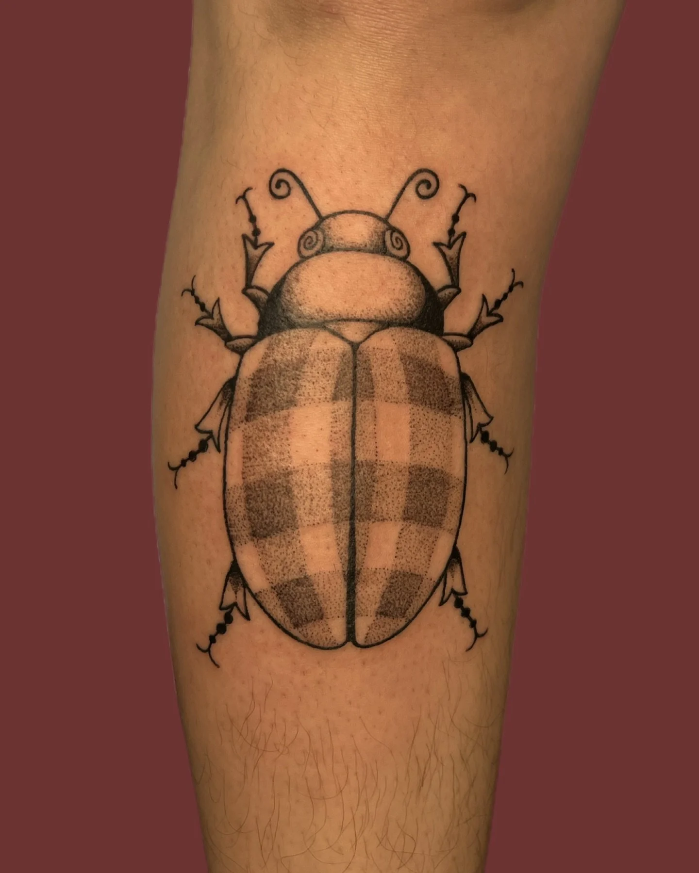 gingham beetle tattoo in black &amp; grey on the shin for eva 🪲 thanks so much :)