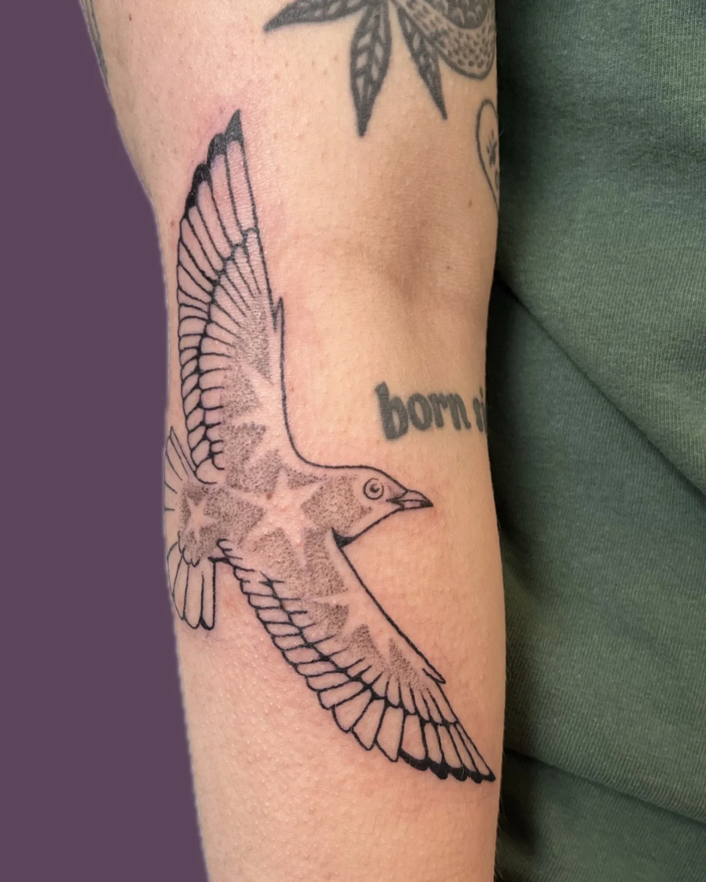 stargull tattoo for sydney ⭐️ thank you!
