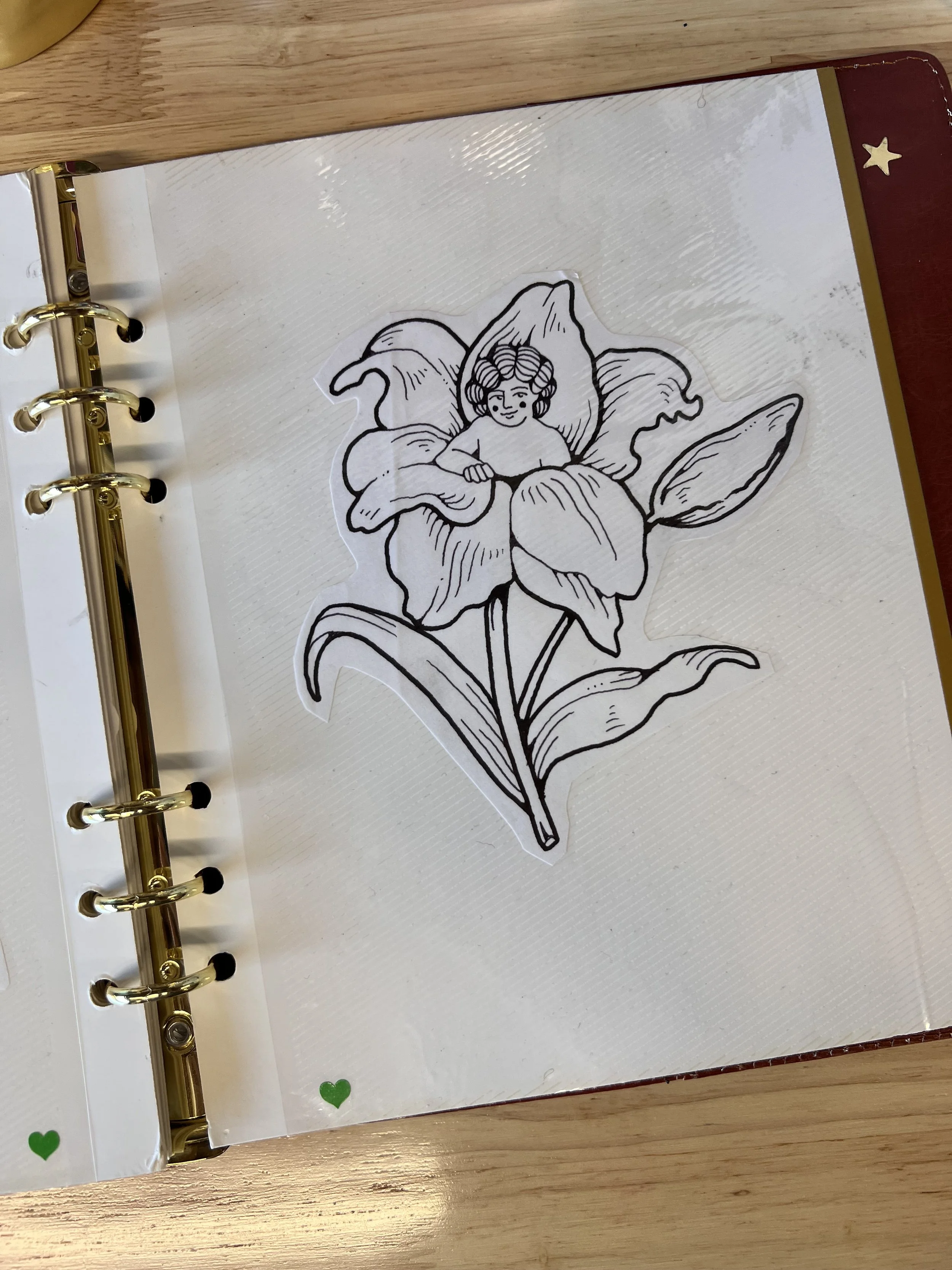 IMG_0610.jpeg