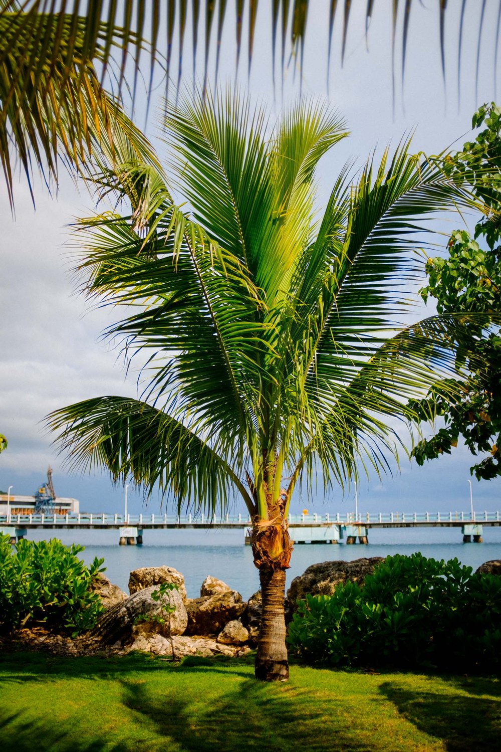 2022-06-25 Miami Beach - Cruise - Blog-142.jpg