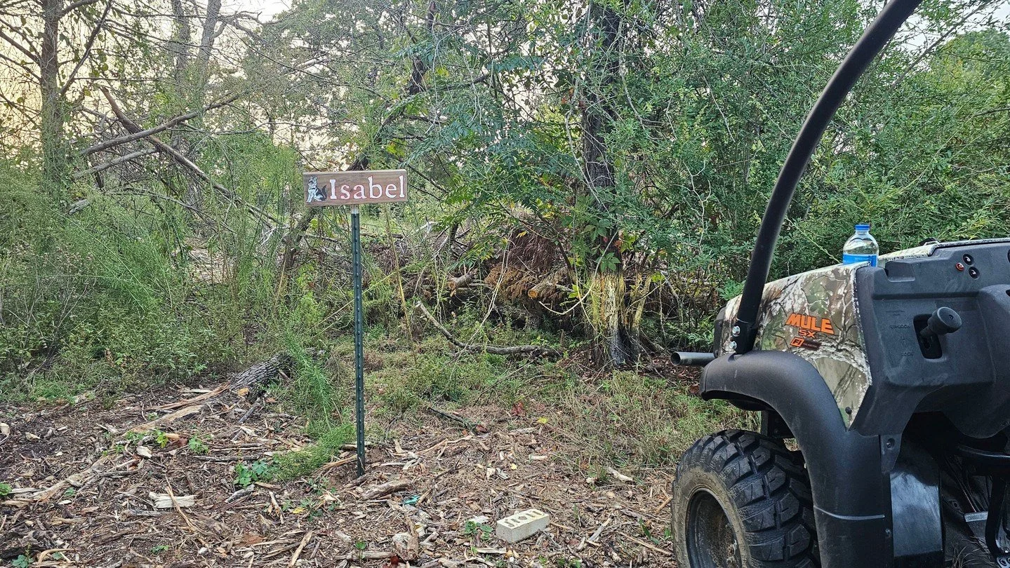 As I prepare the trails for retreats and walk and talk therapy, I'm inspired to create an area to grieve losses. This is Isabel. She was one of the best dogs I ever had and I miss her greatly. I'll honor her with the first sign. And hopefully she'll 