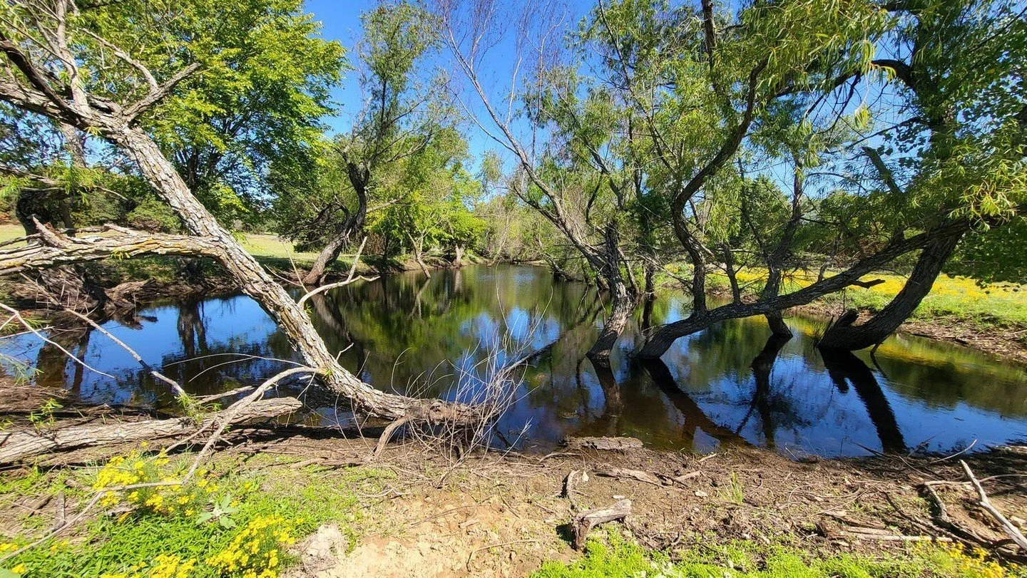 A person is made of three parts: the physical body, soul, and spirit.
- The mind (or soul) reflects your inner world and personal journey. It includes your mind, heart, will, and creative imagination.
- Your spiritual self is the part that connects