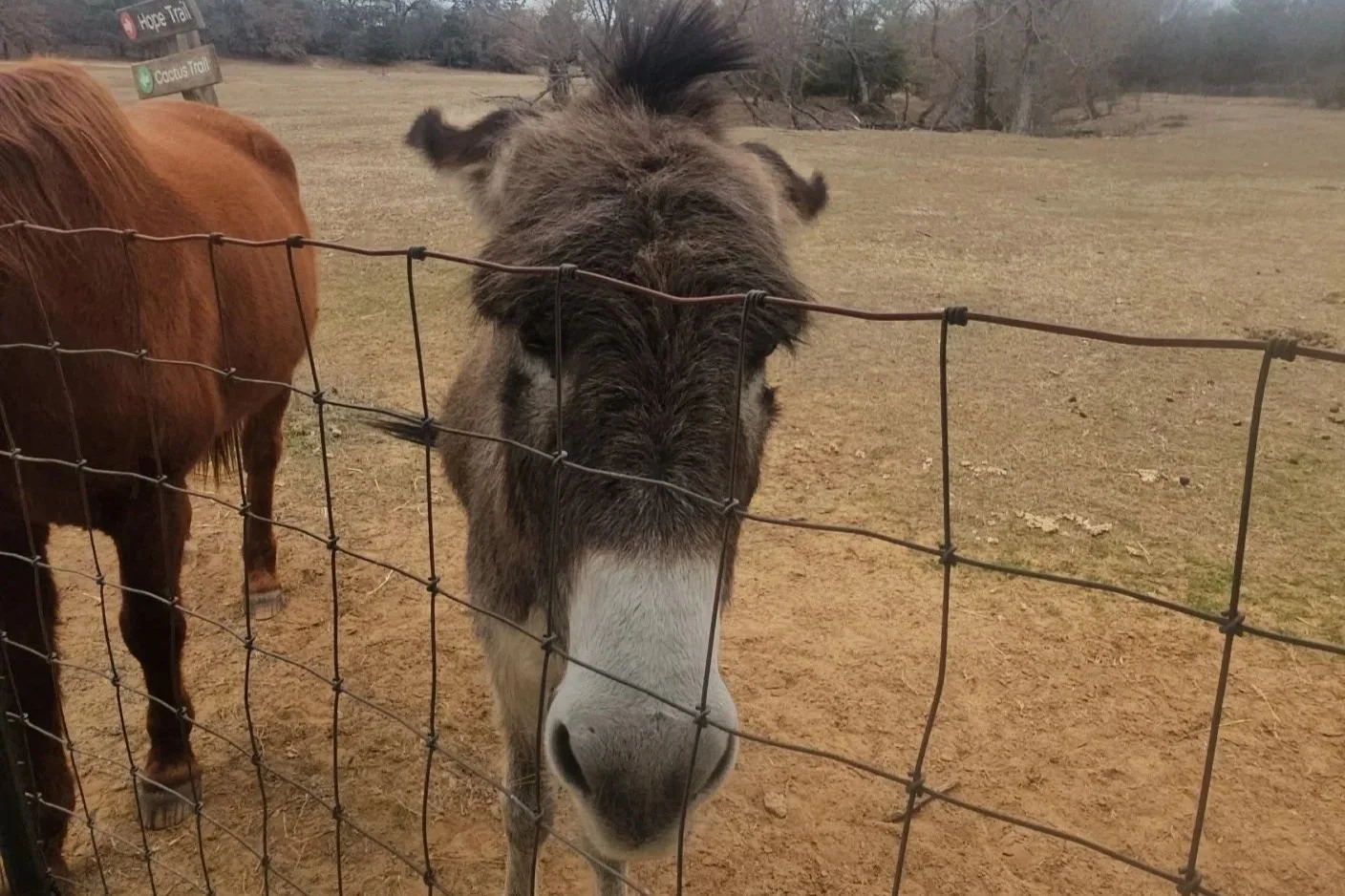 What is a Trauma Responsive Facility?