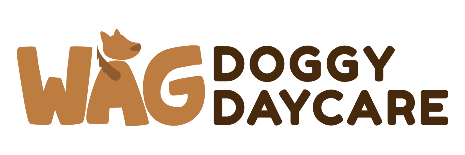 Wag Doggy Daycare