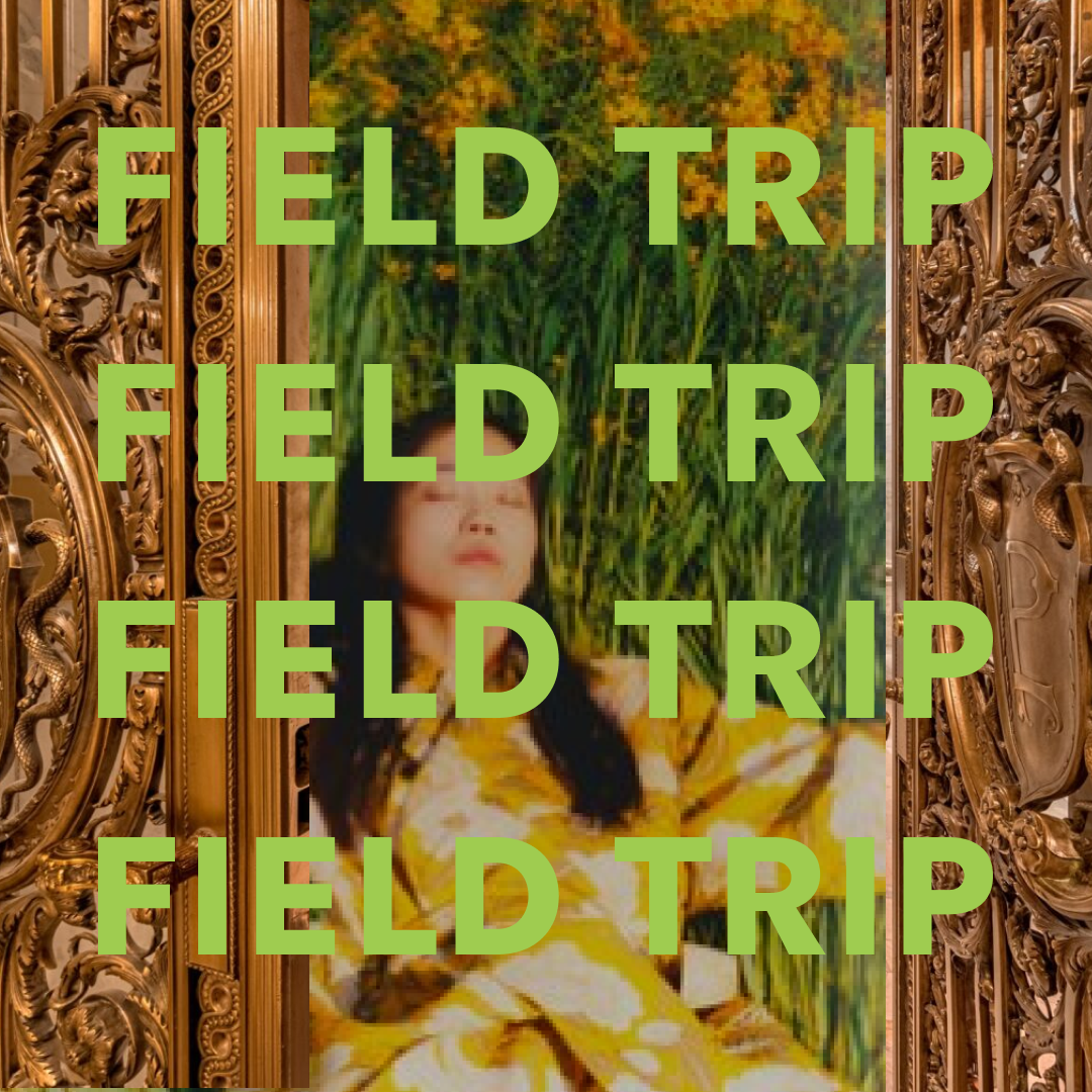 Blumenhaus Field Trip | Library Visit