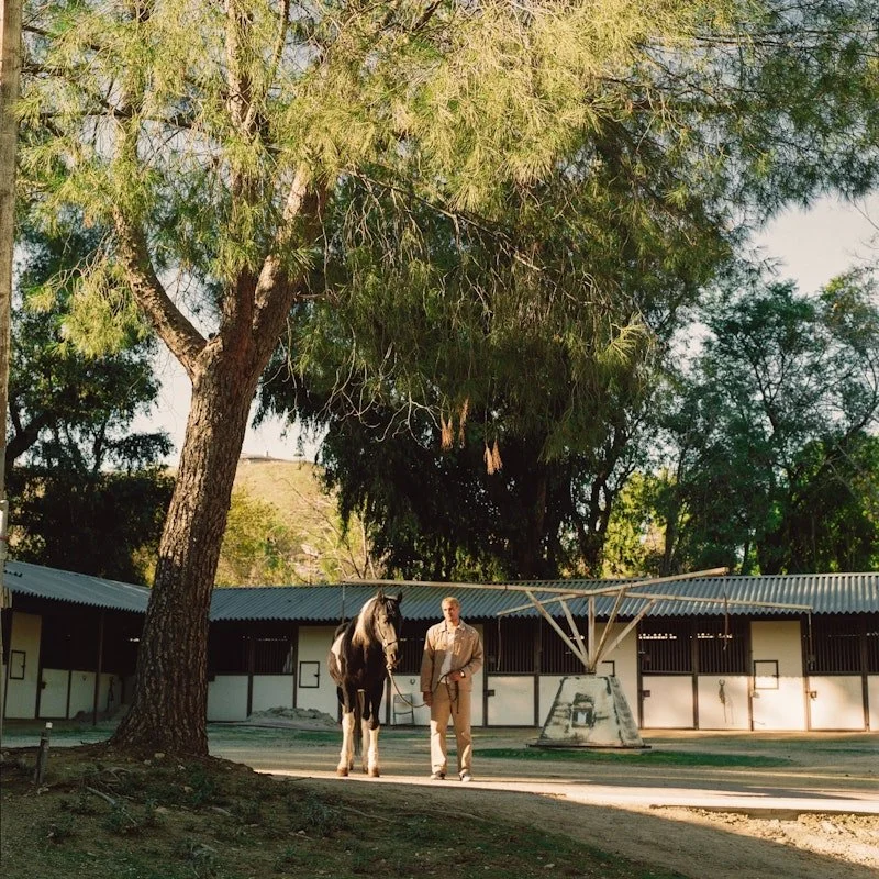 Stable by Holden McRae