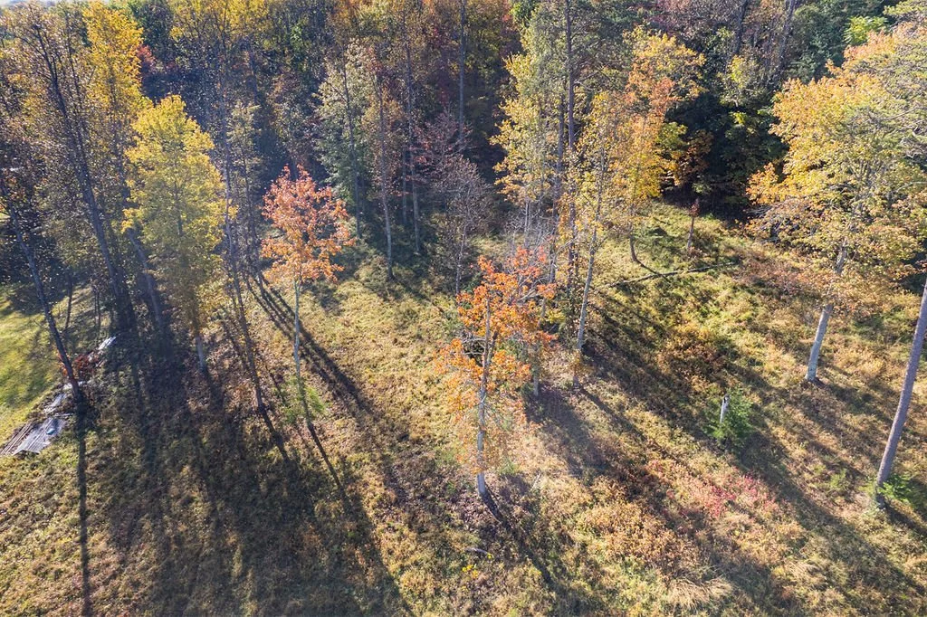 MountainViewedit-9.jpg