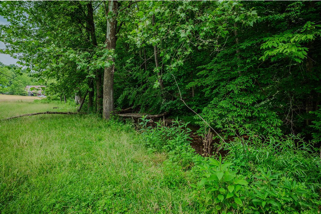 DSC_5852-HDR.jpg