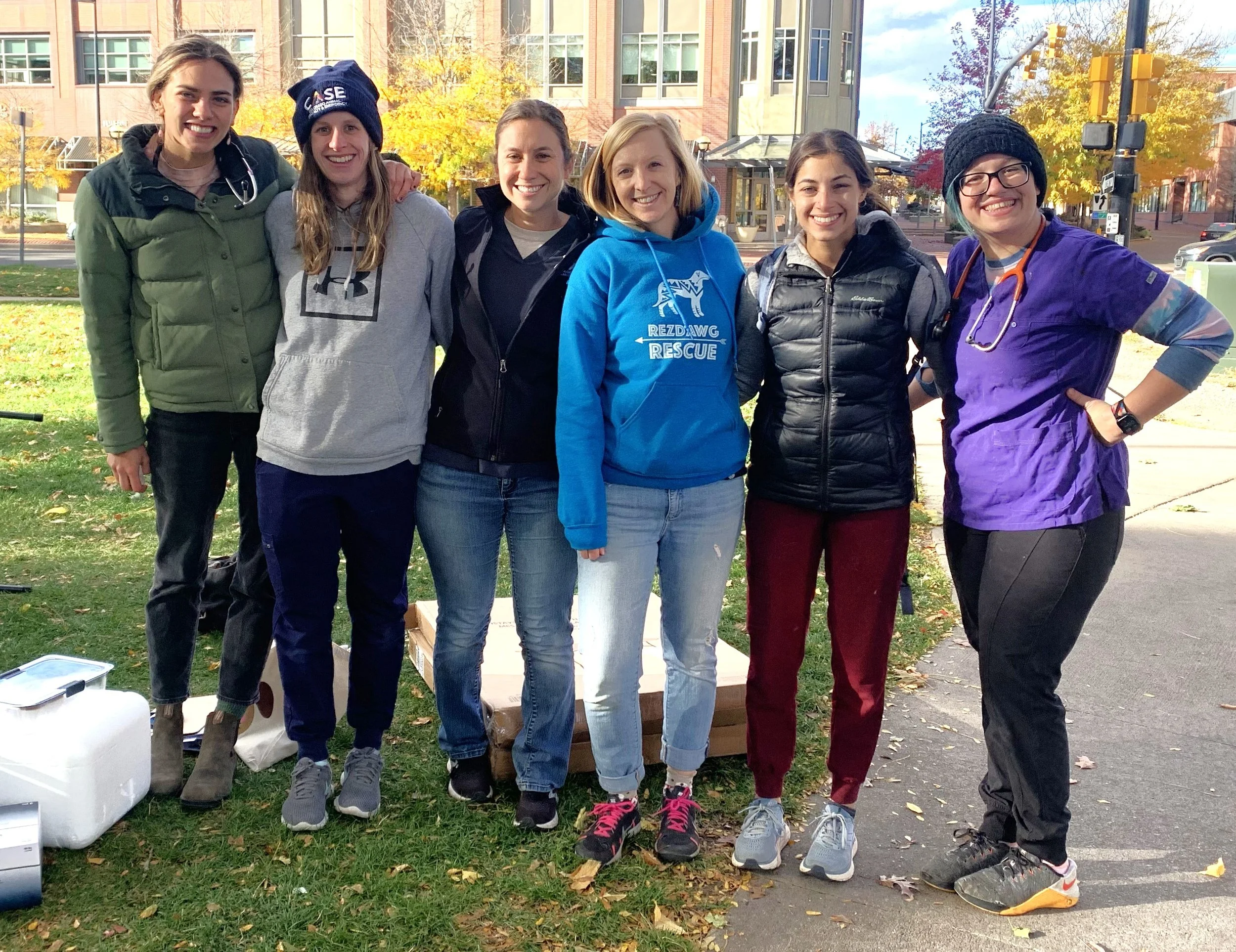 sdc fall newsletter.jpg