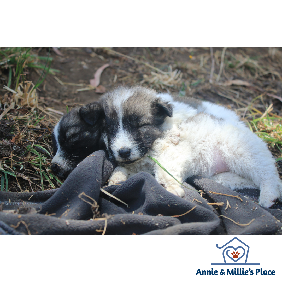 Jan extra post - giving request.png