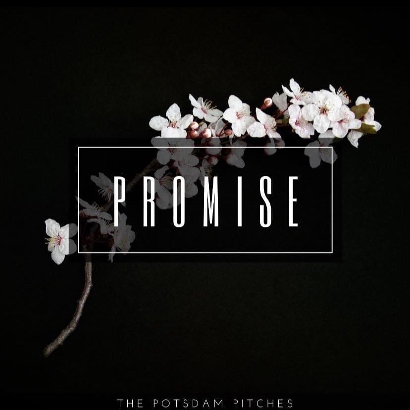 Promise - The Potsdam Pitches (SUNY Potsdam)