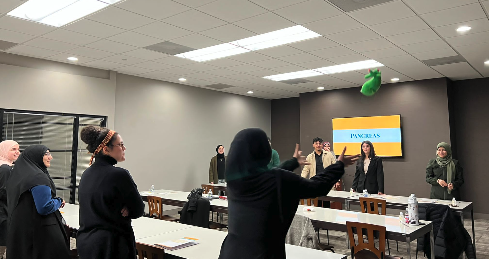 Screenshot 2025-11-30 at 12.38.29 AM.png