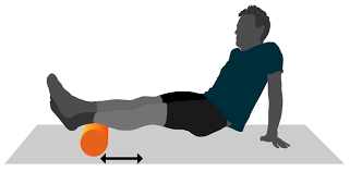 foam roller.png