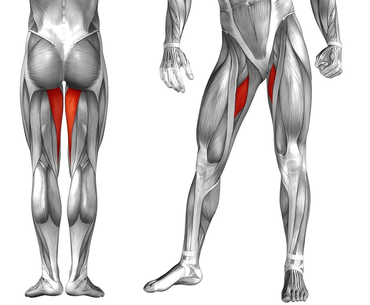 Adductor Strengthening - CopeNhagens