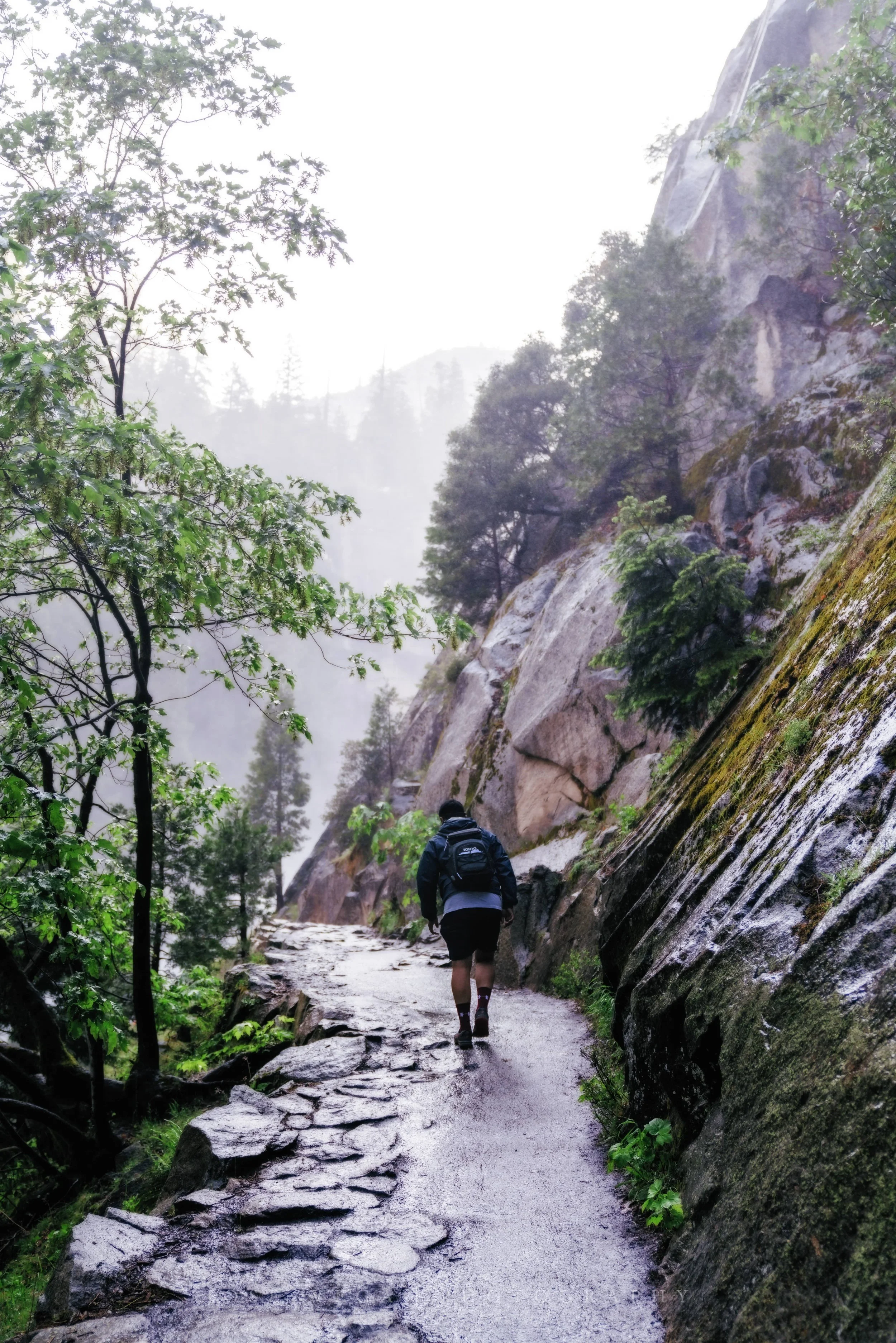 Yosemite National Park, CA.