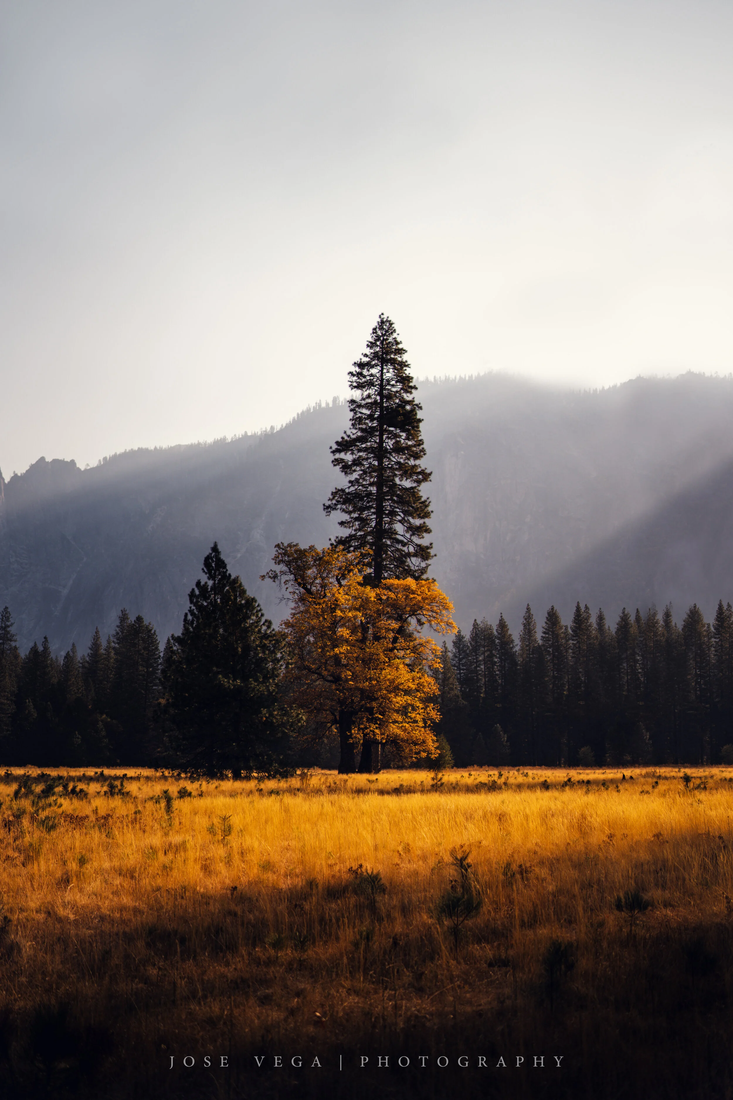 Yosemite National Park