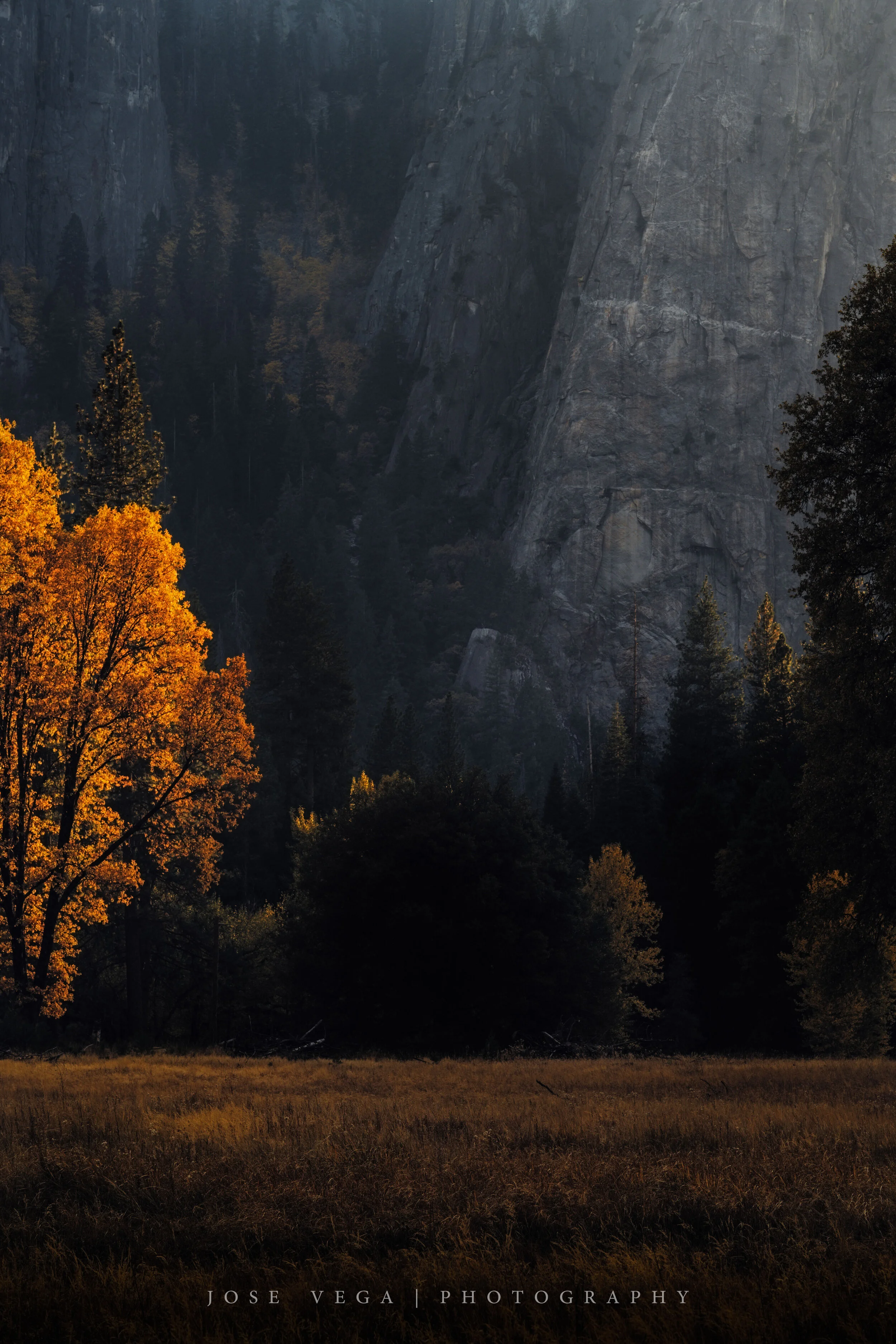 Yosemite National Park