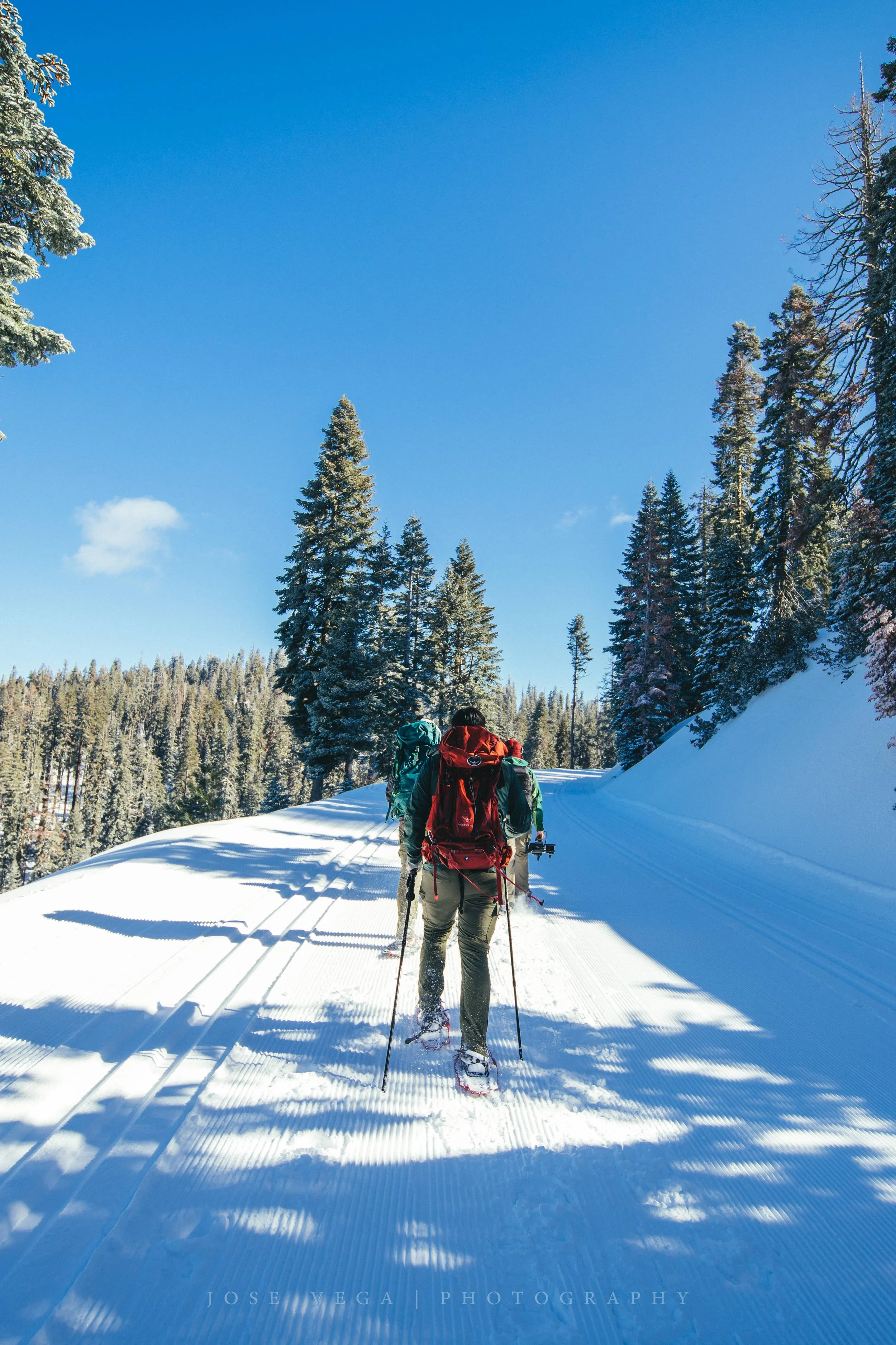 Snowshoeing Yosemite National Park, CA.
