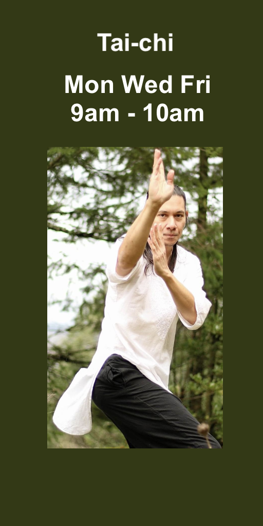 spotlight.tai-chi.2026.png
