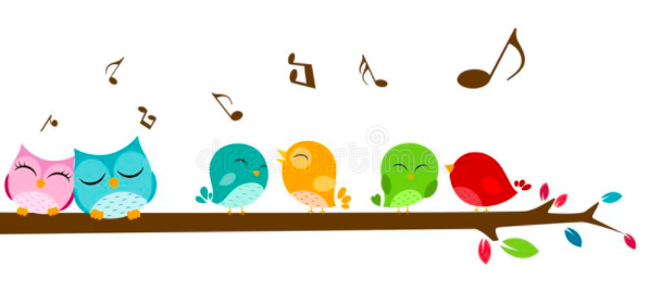 Learning from the Birds