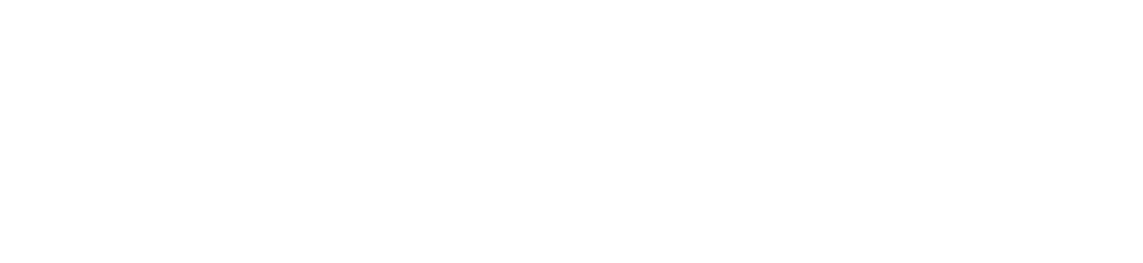 Stichting Nowschool logo