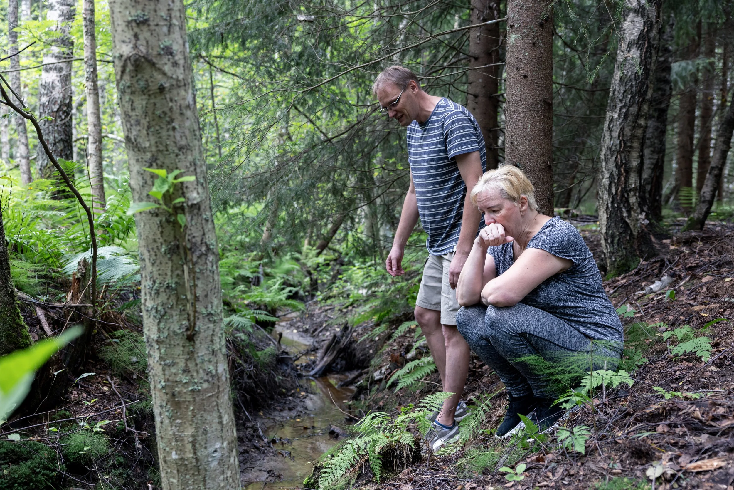 The City of Espoo poisoned Nuuksio's Laihalampi lake to eliminate sunfish, but forgot to tell the nearby alpaca farm about it. The owners Janno and Merike Mikk fear that their alpacas are poisoned.

Helsingin Sanomat.
