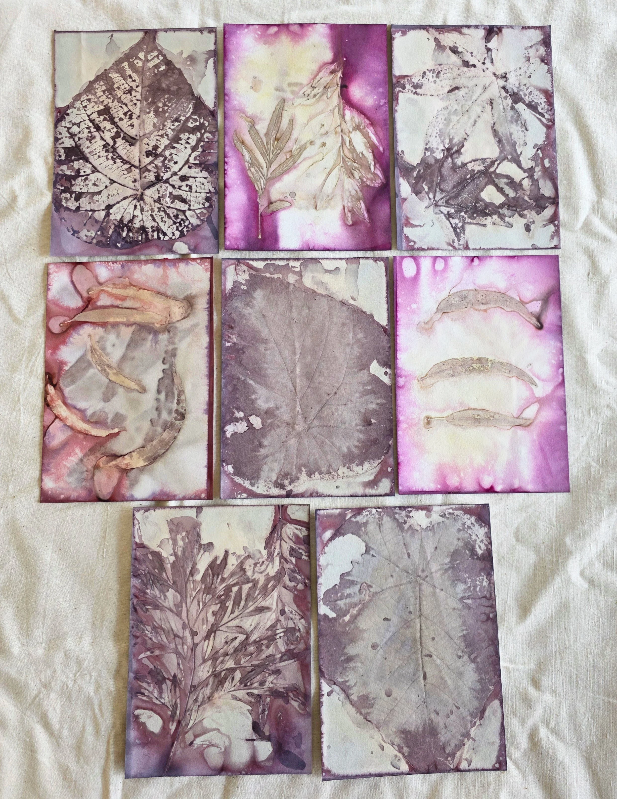 paperpack2.jpg