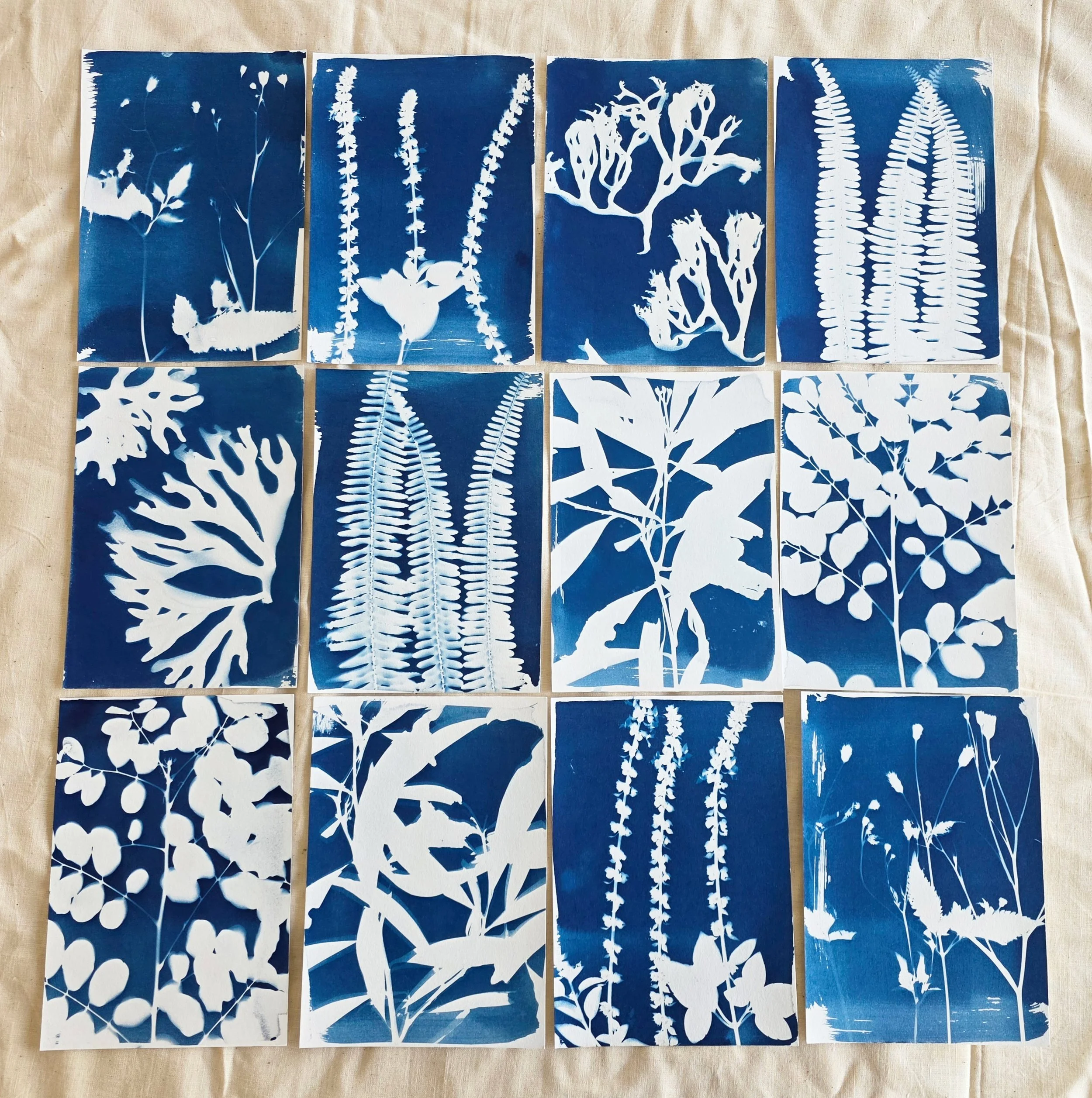 cyanotype.jpg