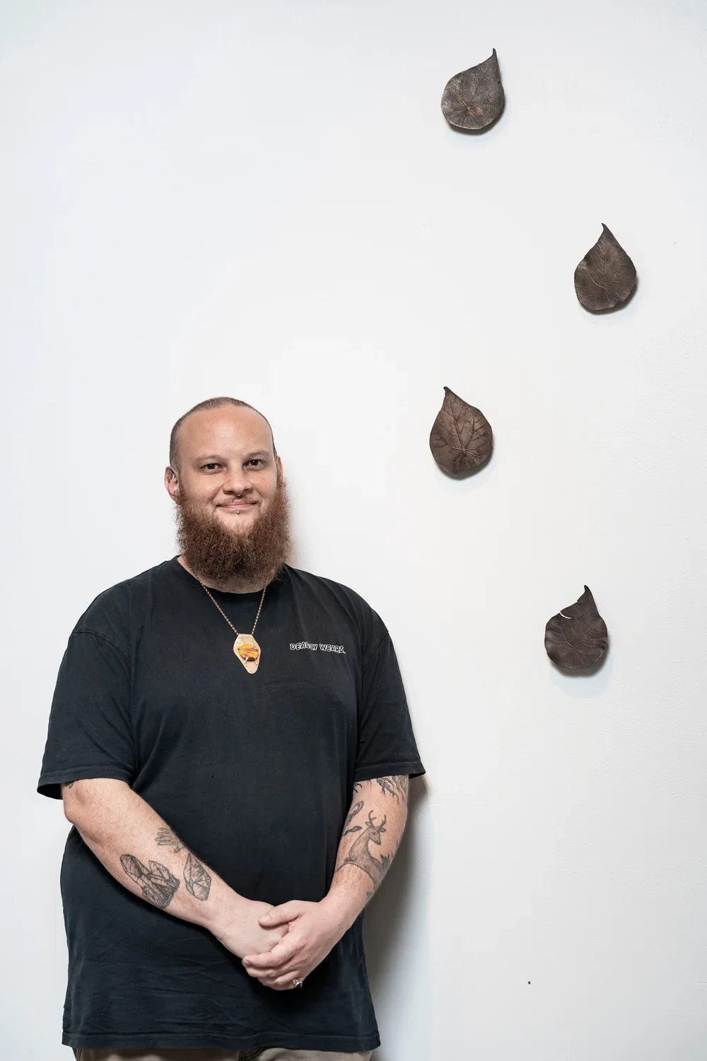 Macaranga Bronze Leaf 4