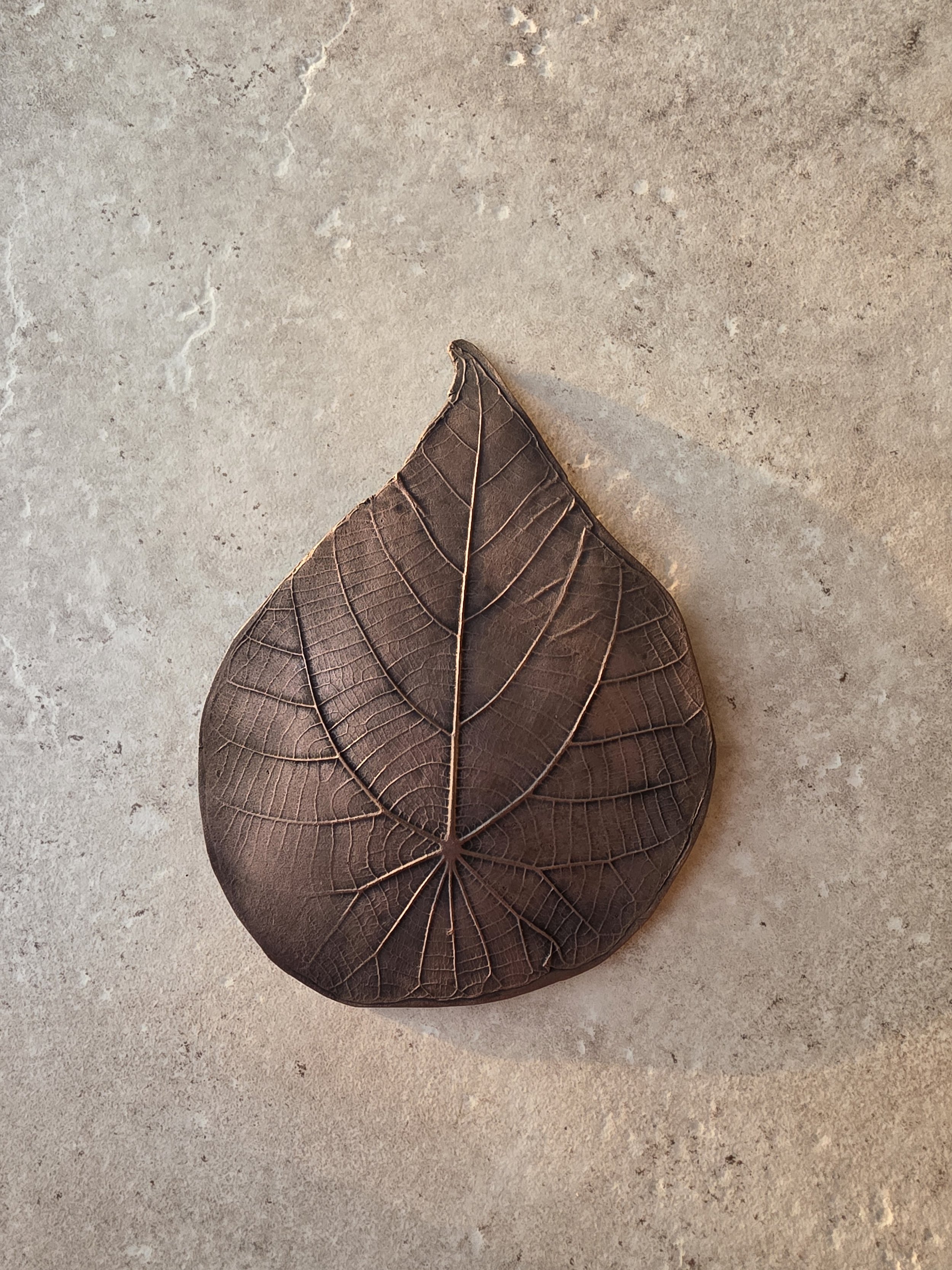 Macaranga Bronze Leaf 3
