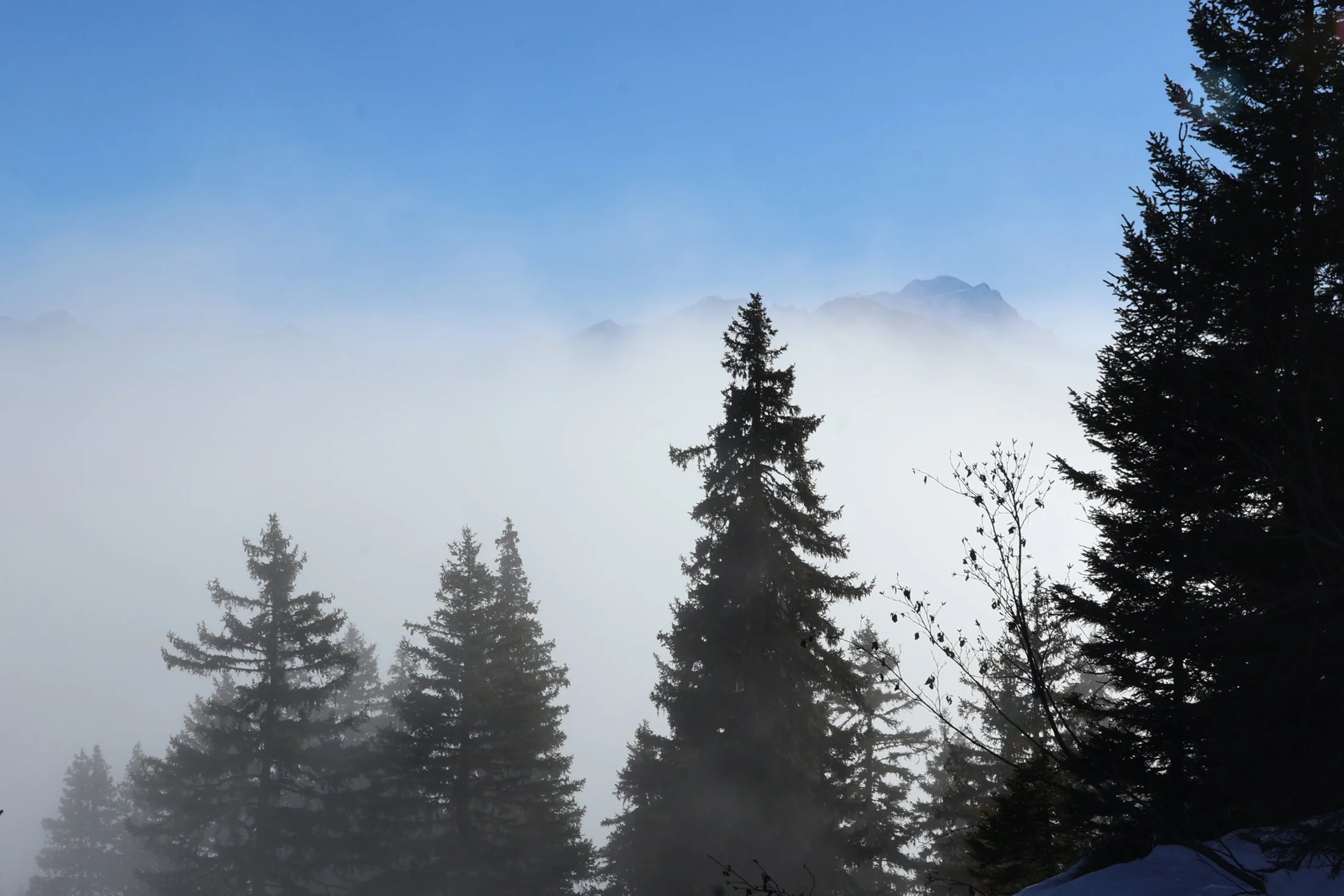 Traverser le brouillard