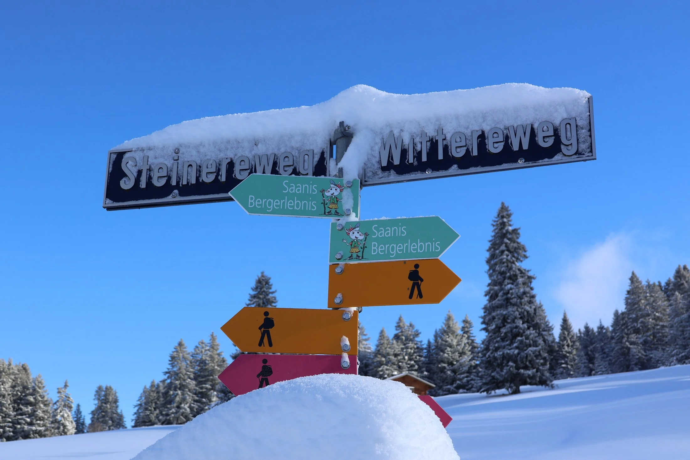 Randonnée hivernale dans le Saanenland