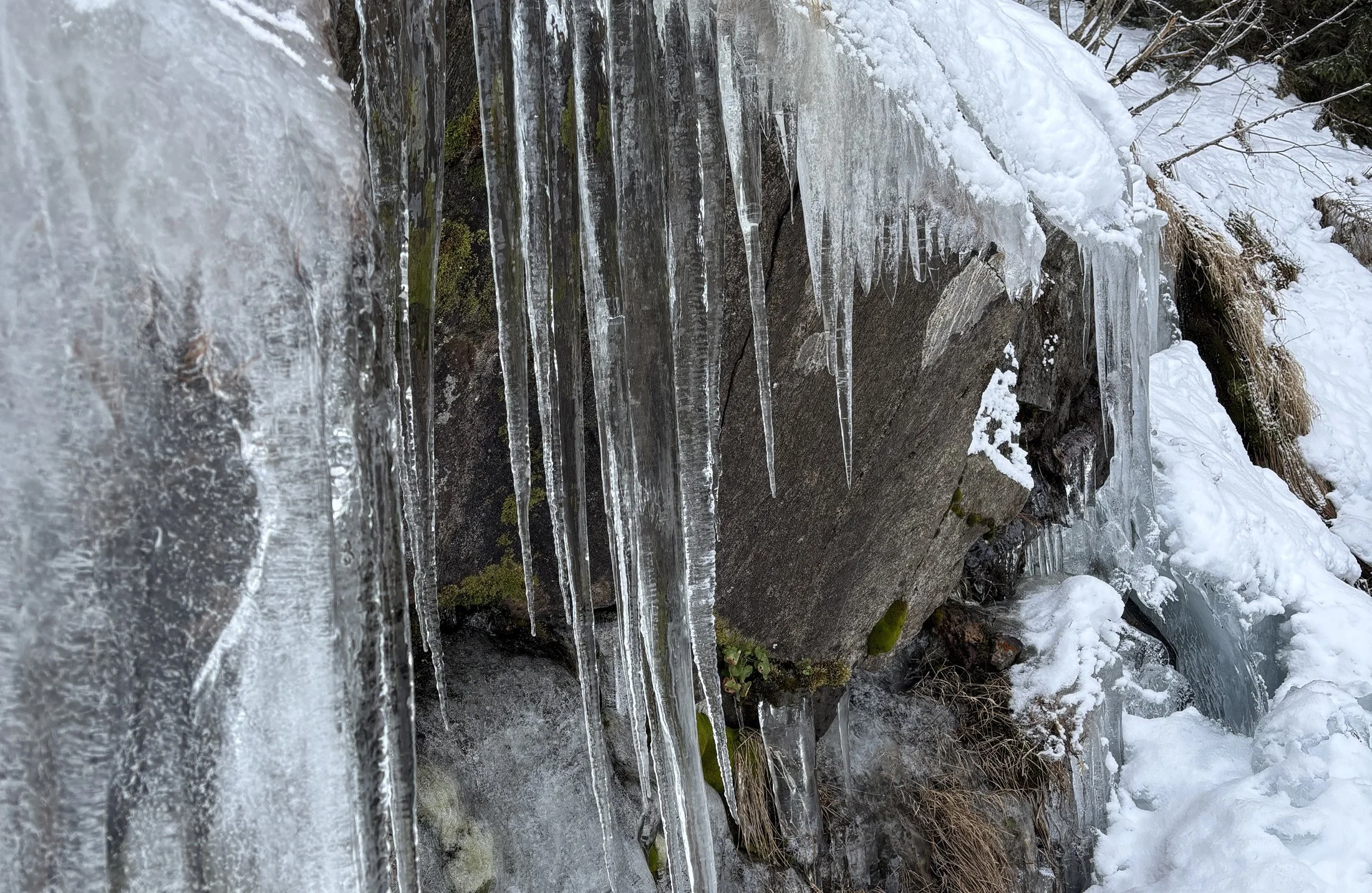 Balade entre neige et glace