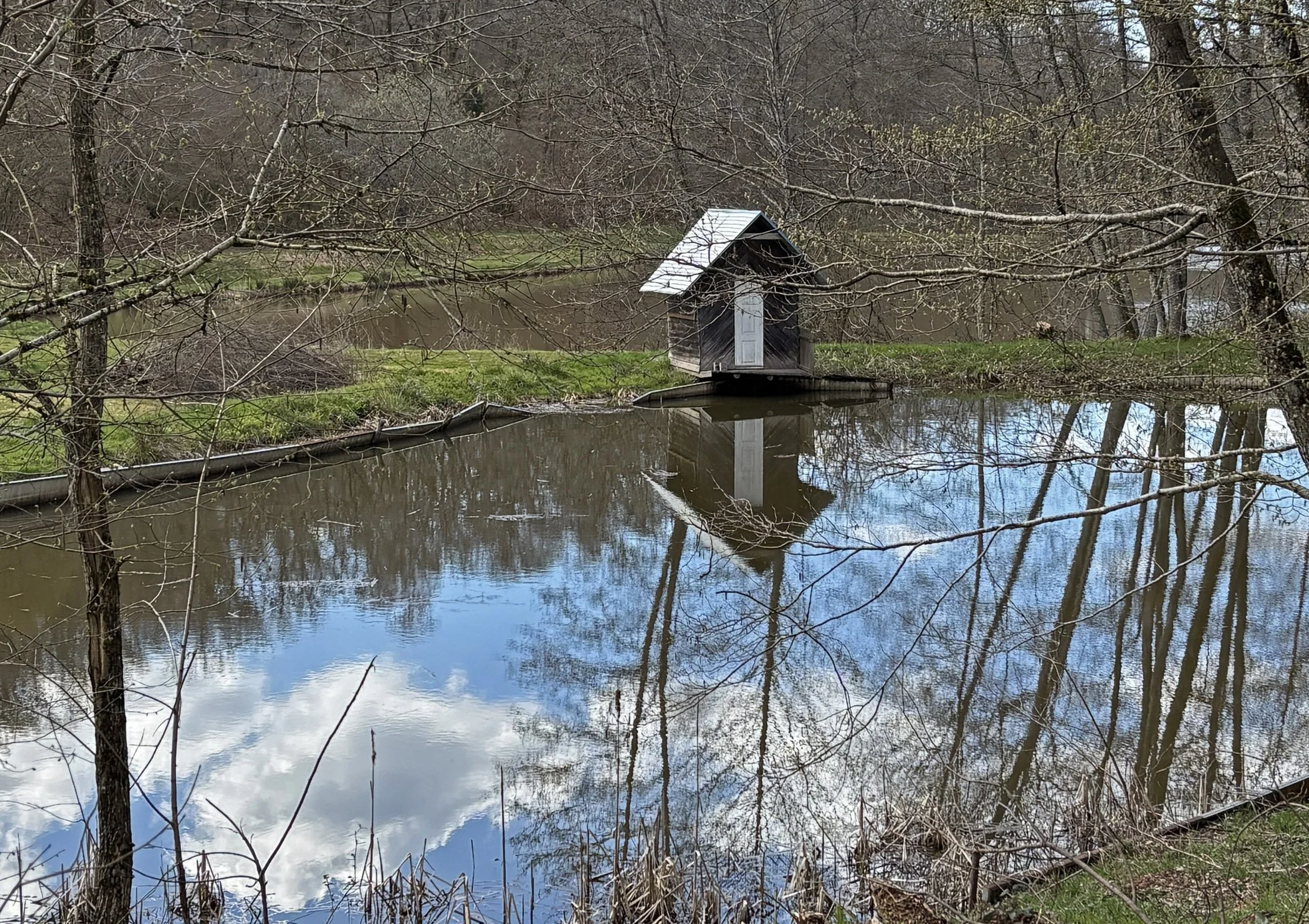 Escapade dans les Vosges du Sud