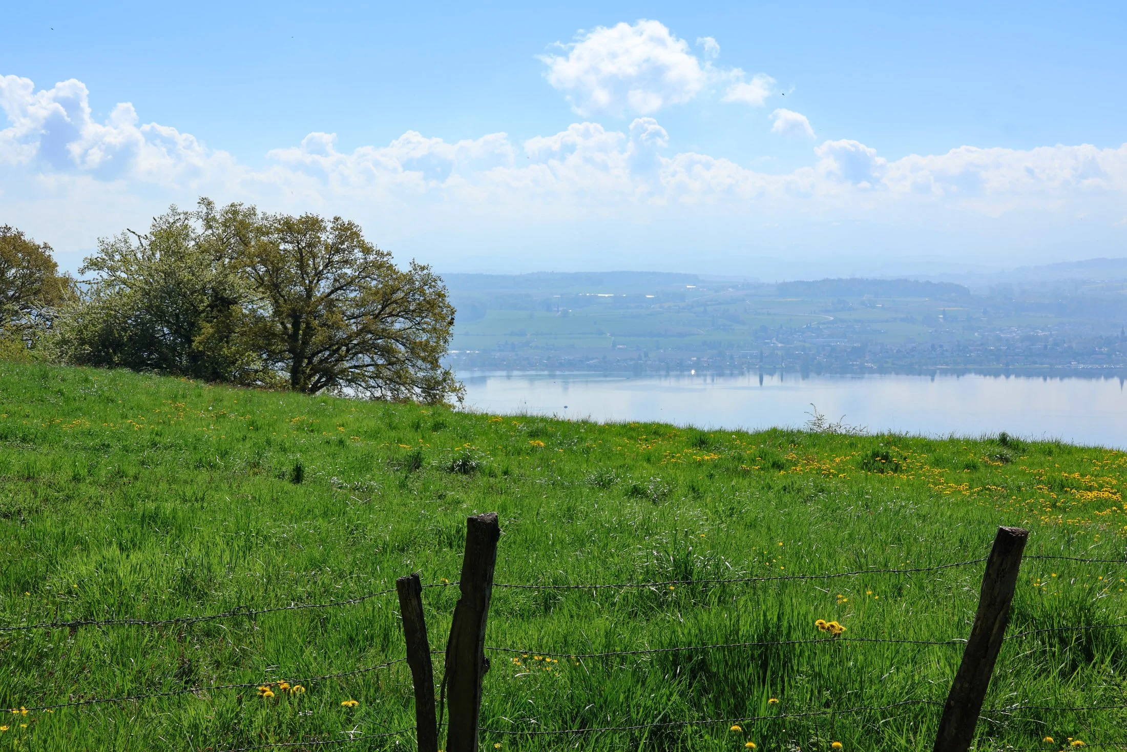 Balade historique dans le Vully