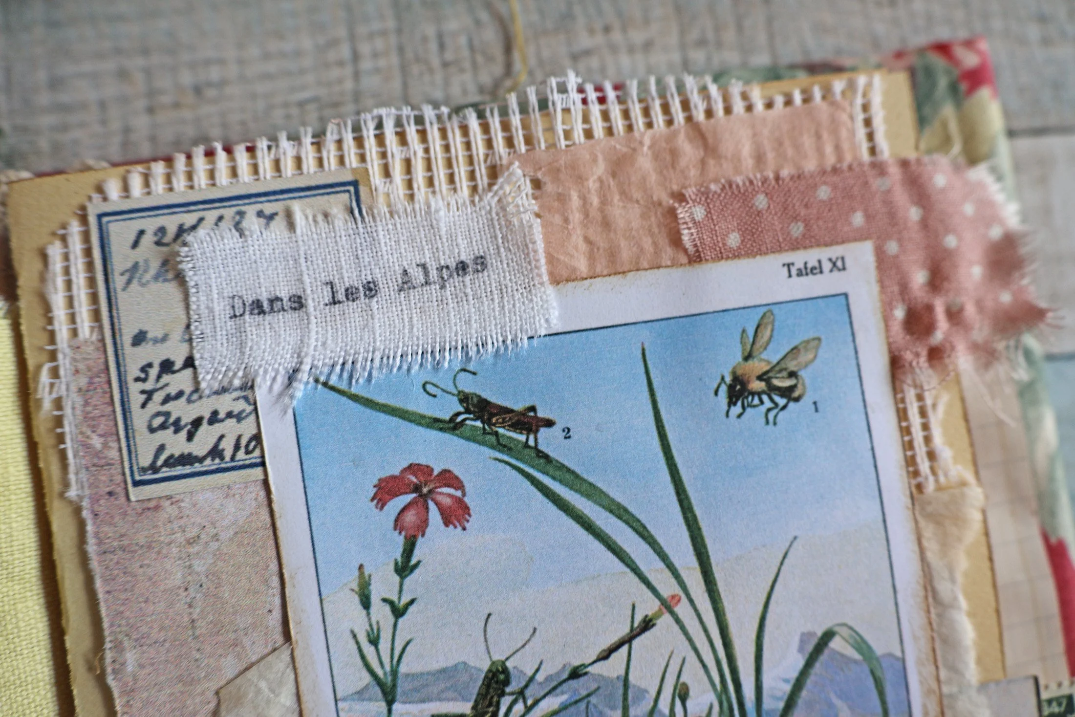 Journal des fleurs des montagnes