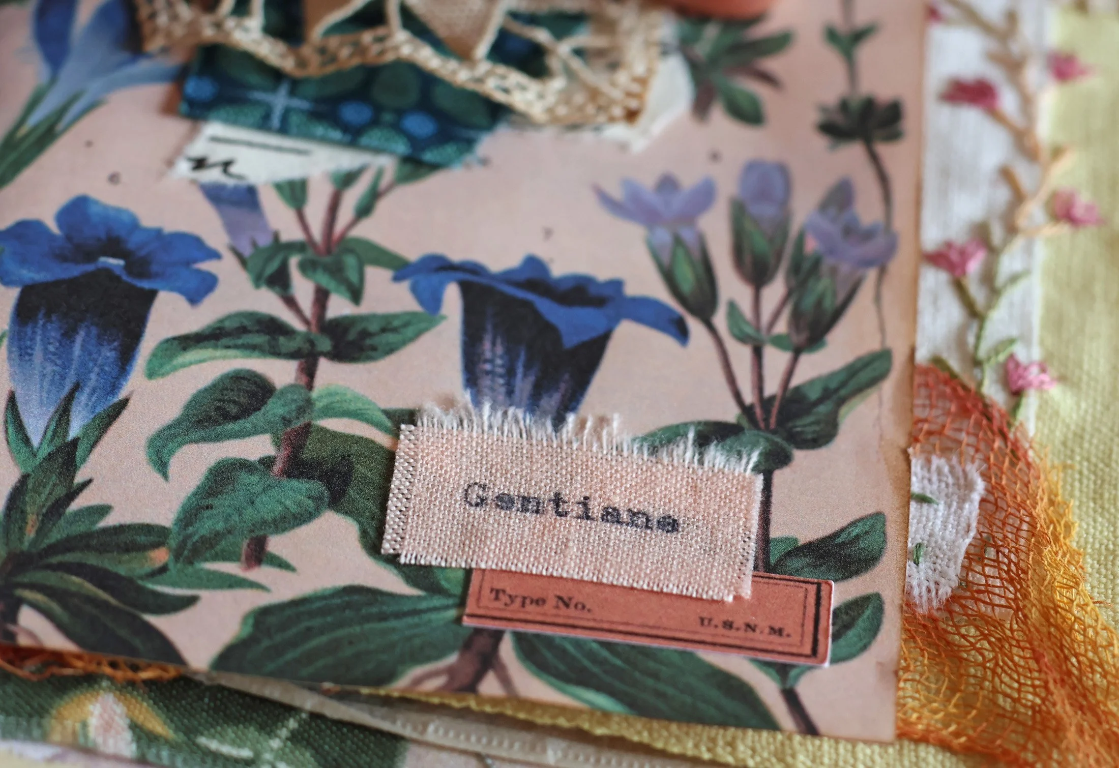 Journal des fleurs de montagne (2)