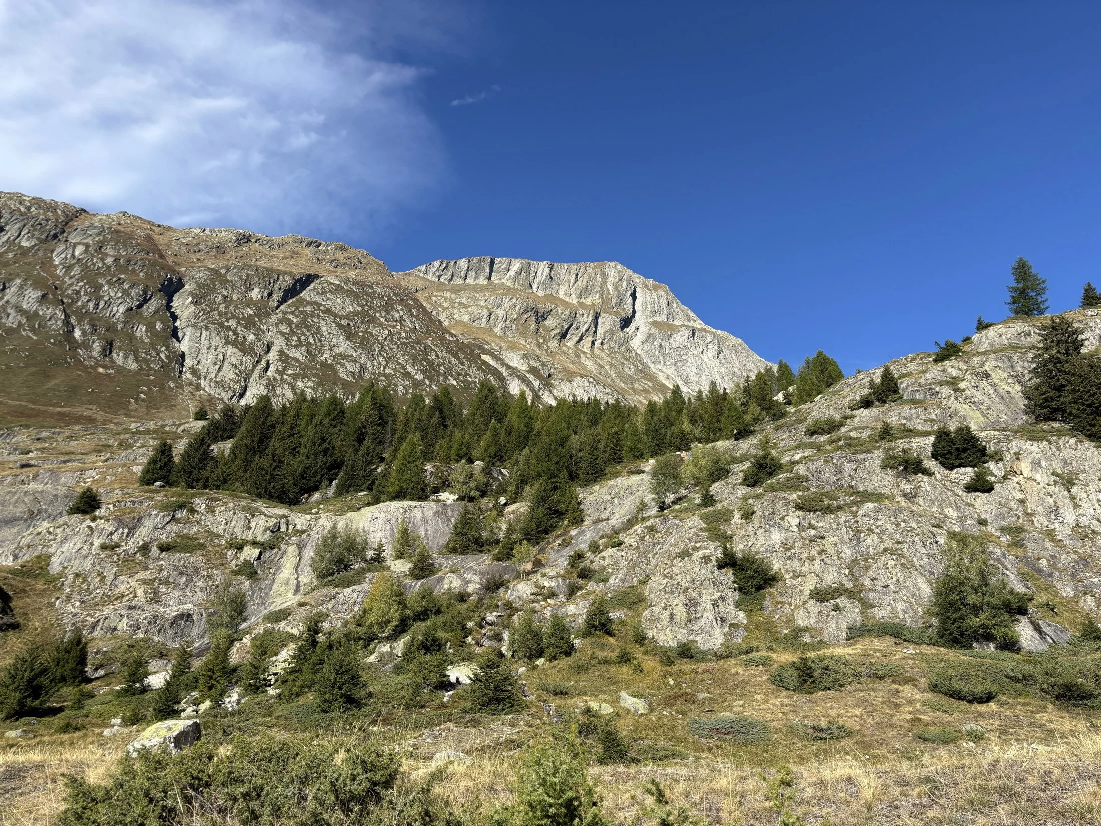 Région d’Aletsch