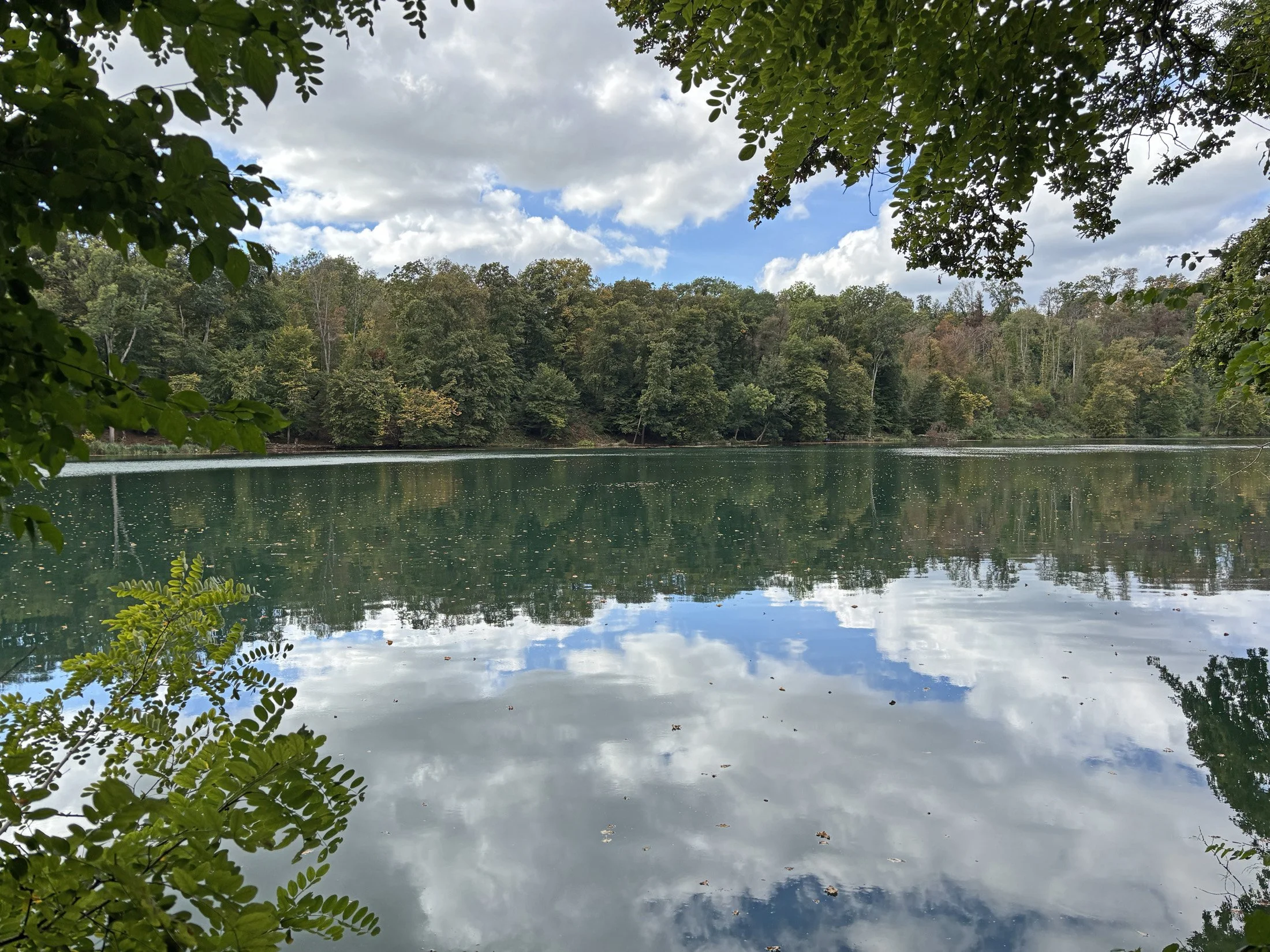 Balade au bord du Rhin
