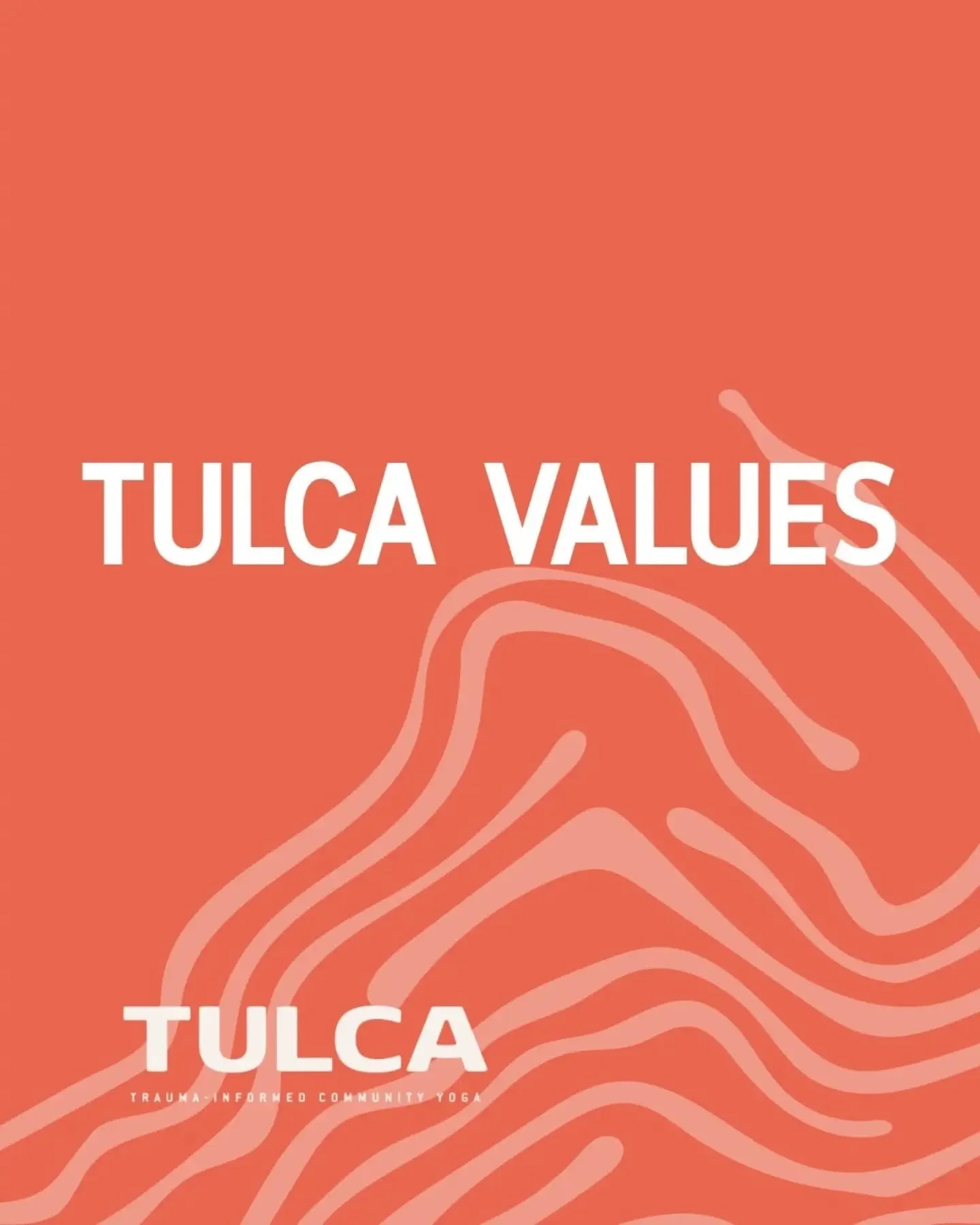 🌊Tulca Values Incoming🌊

Showing up in right relationship with our community is at the heart of our work here at Tulca. 

We want our words to have meaning and our actions to reflect what matters to us. We chose the name 'Tulca' from the @manchanma